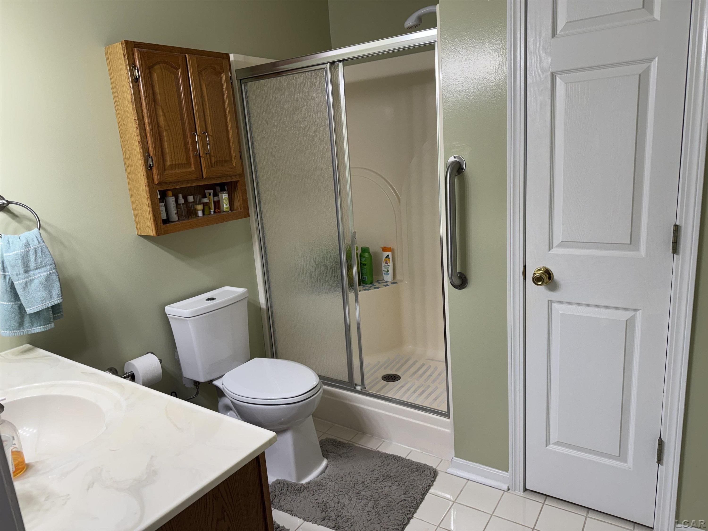 204 Carriage Drive, Tecumseh, MI 49286 — Photo 9