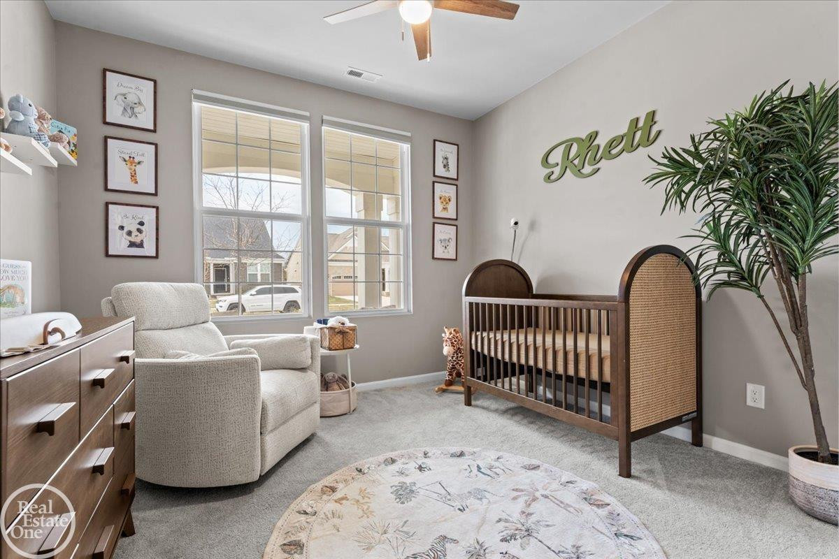 4969 Mayer Street, MI 48188 — Photo 20
