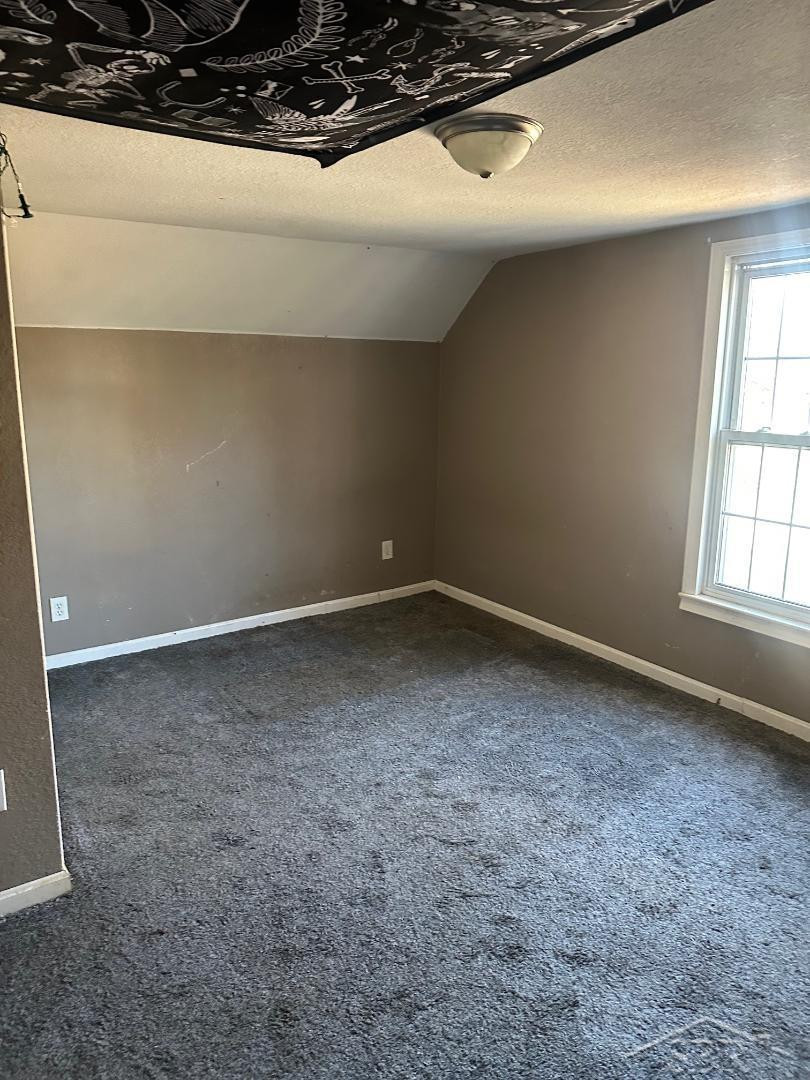 609 Olive Road, Saint Louis, MI 48880 — Photo 14