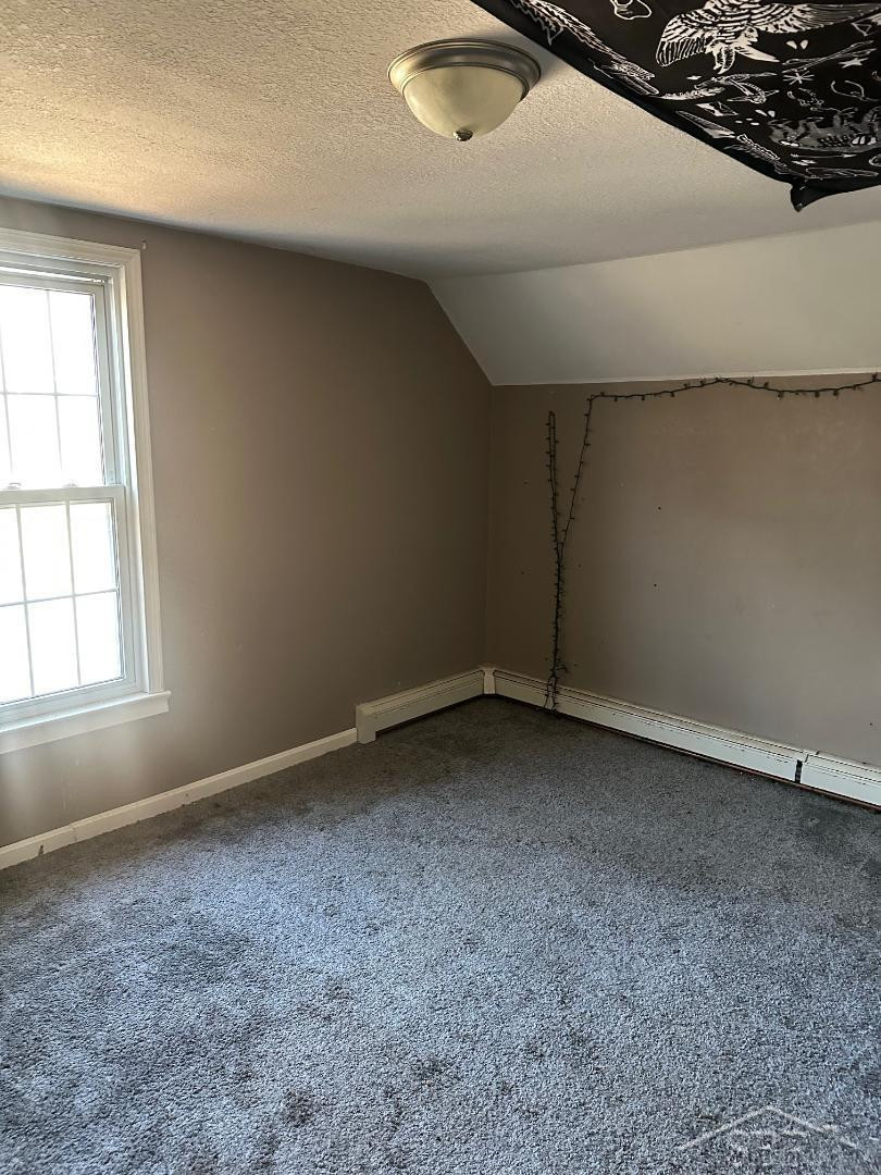 609 Olive Road, Saint Louis, MI 48880 — Photo 15