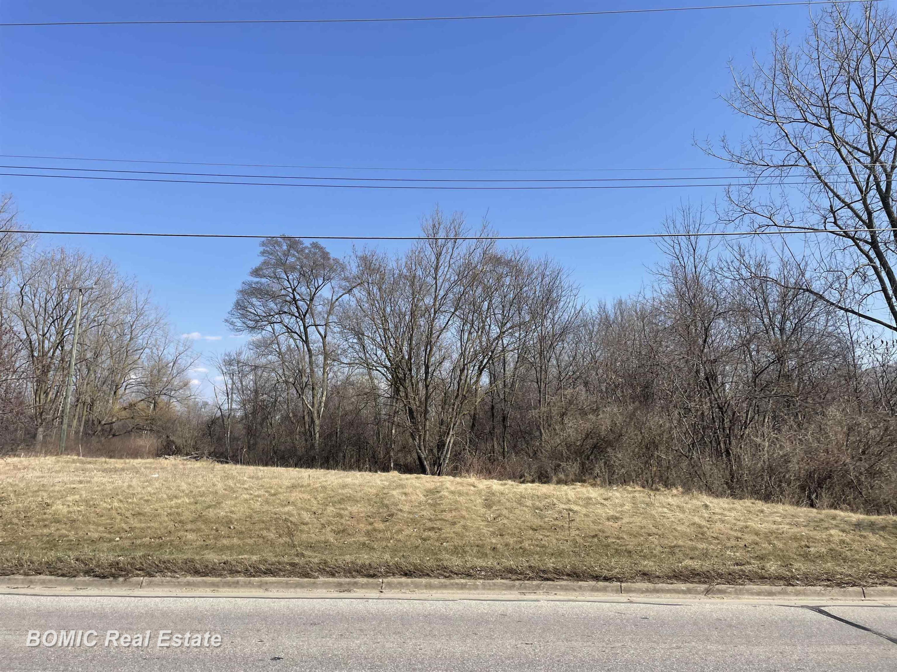 475 Goodrich Street, Vassar, MI 48768 — front exterior