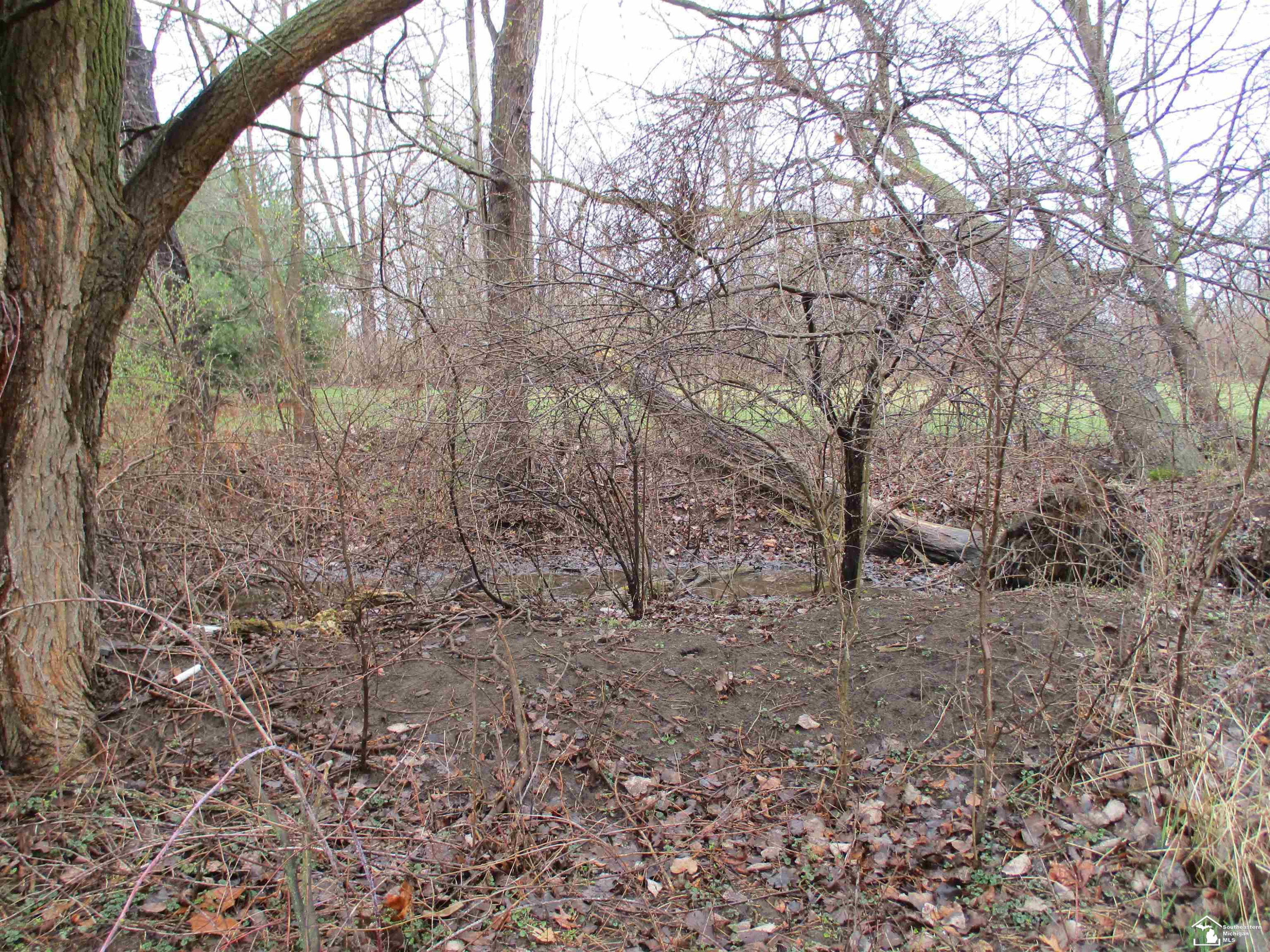 11291 Townsend Road, Milan, MI 48160 — Photo 24