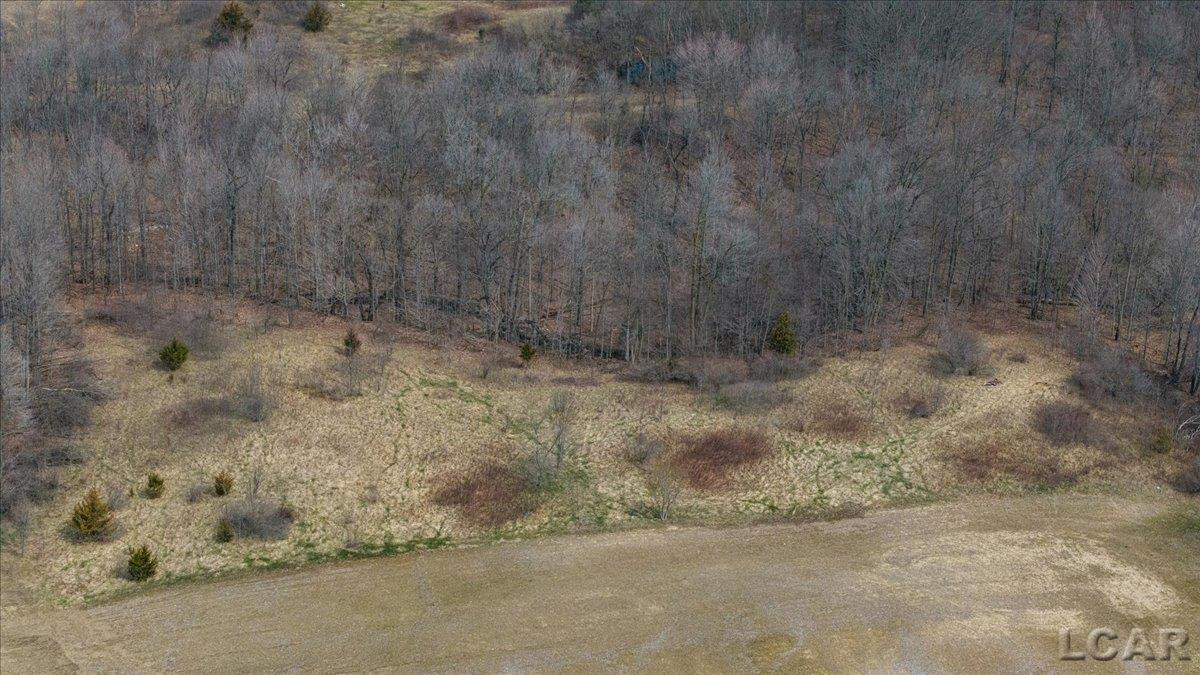 4291 Waldron Rd. Road, North Adams, MI 49262 — Photo 5