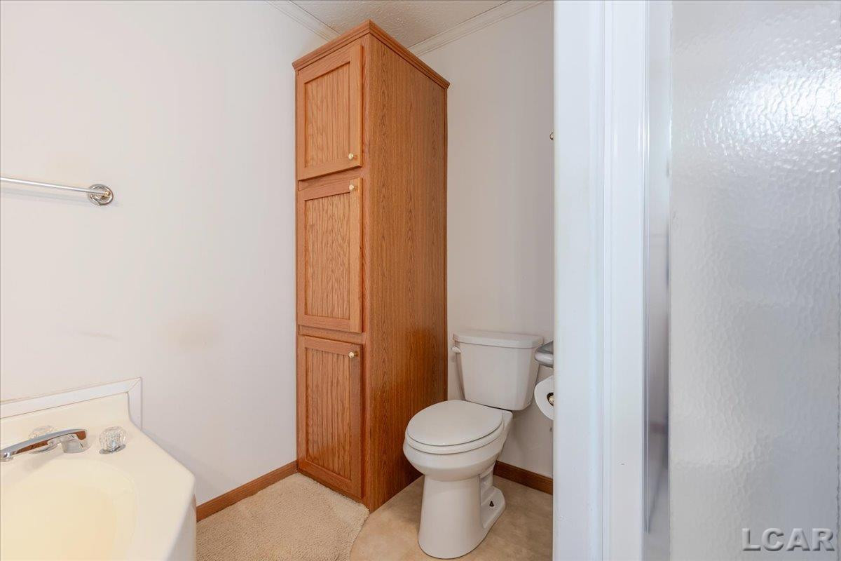 4291 Waldron Rd. Road, North Adams, MI 49262 — Photo 19