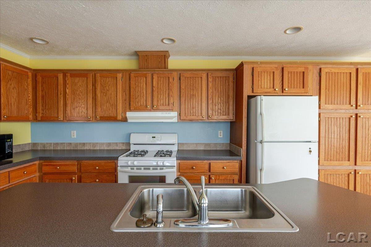 4291 Waldron Rd. Road, North Adams, MI 49262 — Photo 22