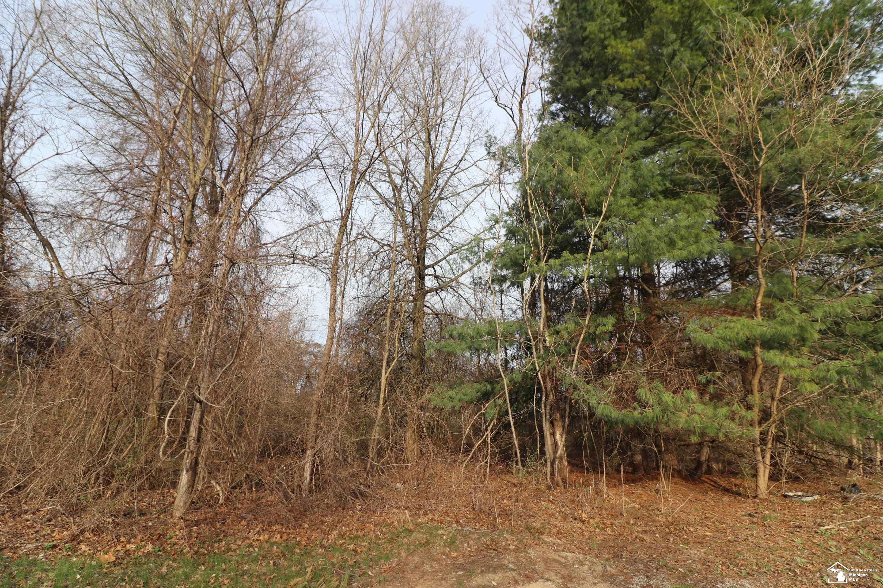 2630 W Temperance Road, Temperance, MI 48182 — Photo 9