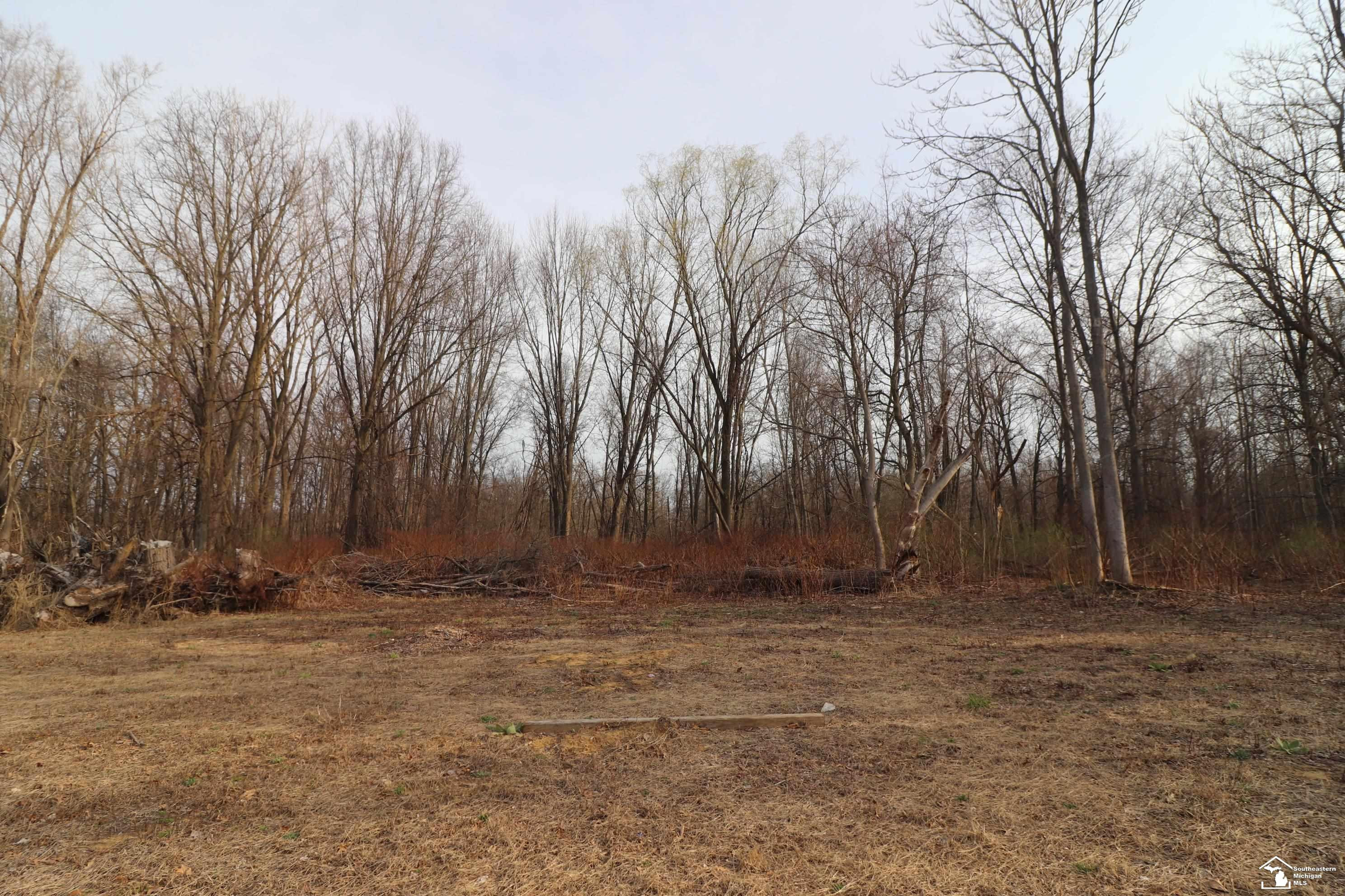2630 W Temperance Road, Temperance, MI 48182 — Photo 11
