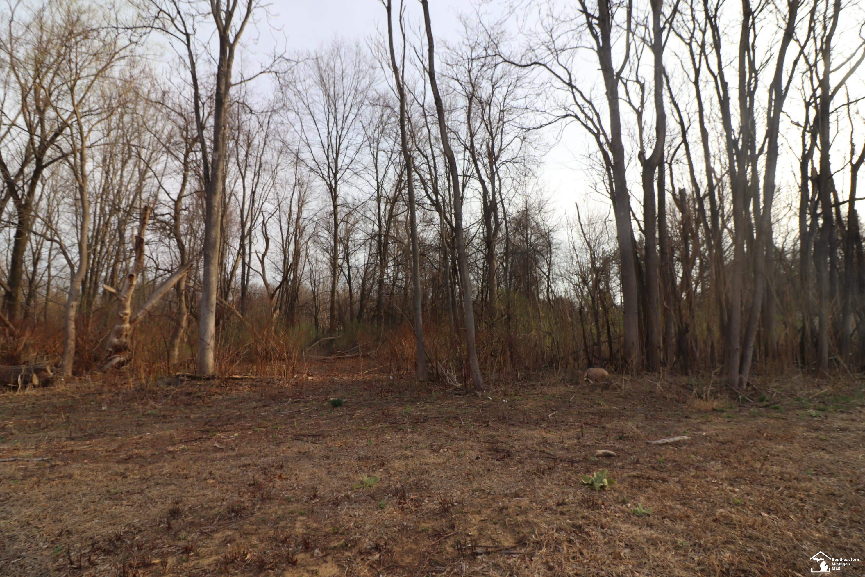 2630 W Temperance Road, Temperance, MI 48182 — Photo 12