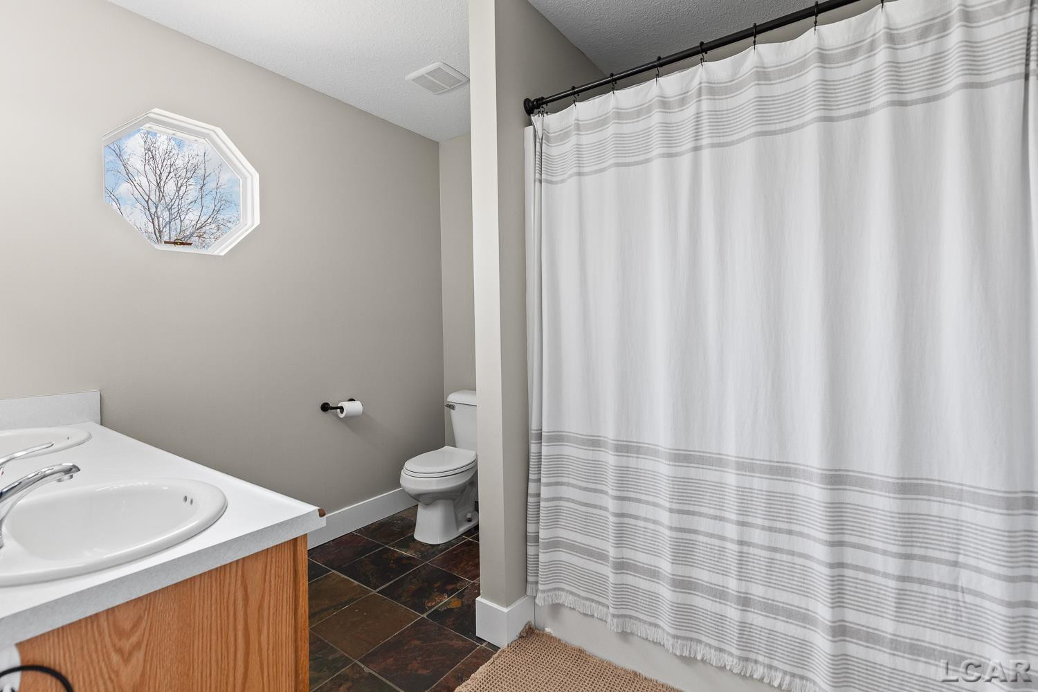 3160 Crabtree Lane, Tecumseh, MI 49286 — Photo 20