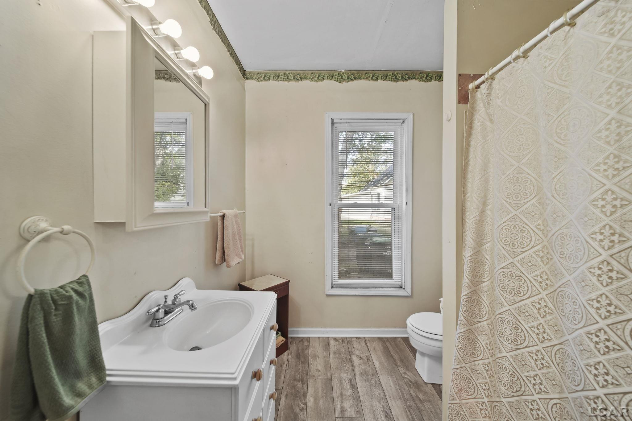 379 N Main Street, Britton, MI 49229 — Photo 17