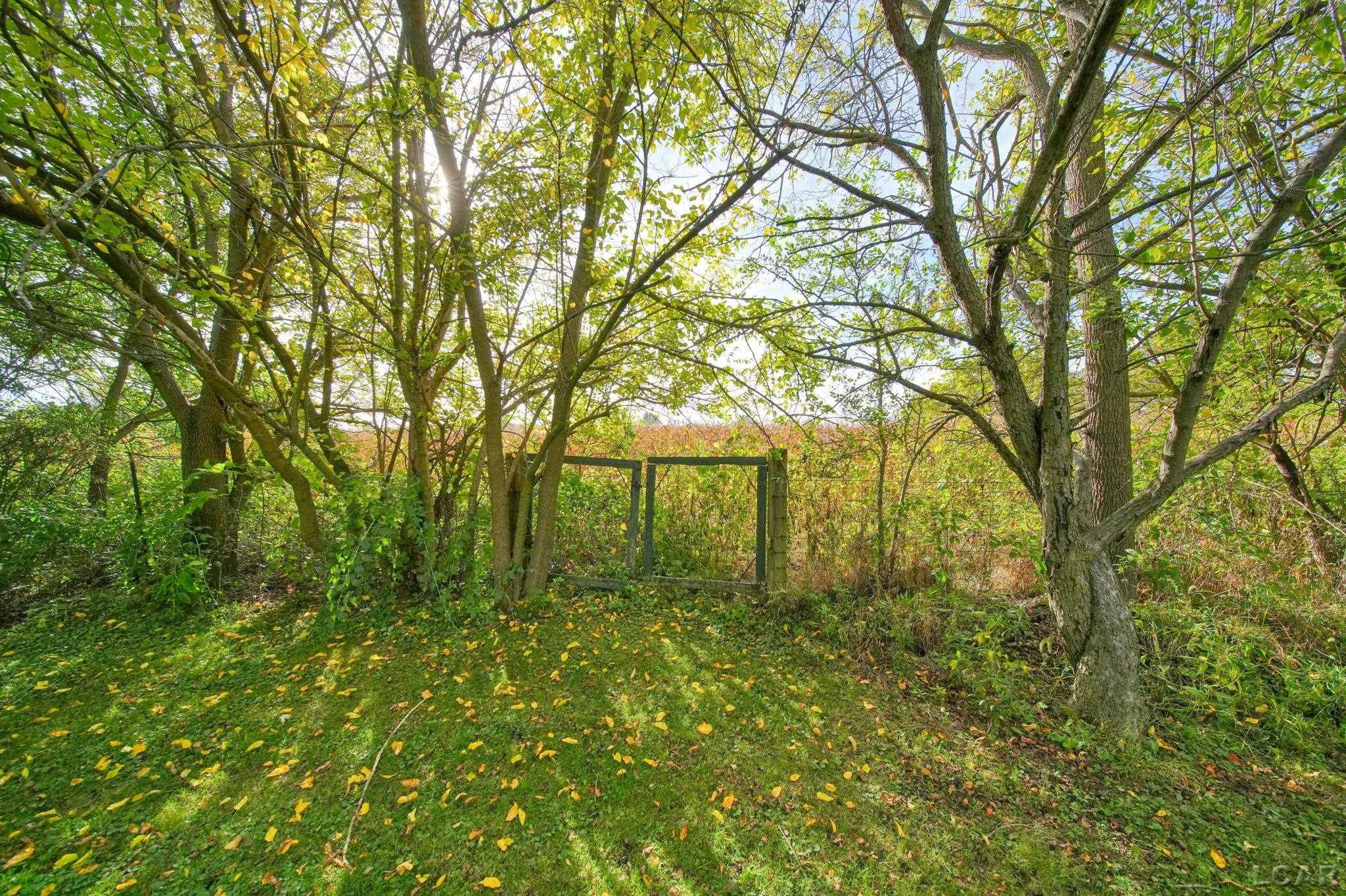 379 N Main Street, Britton, MI 49229 — Photo 33