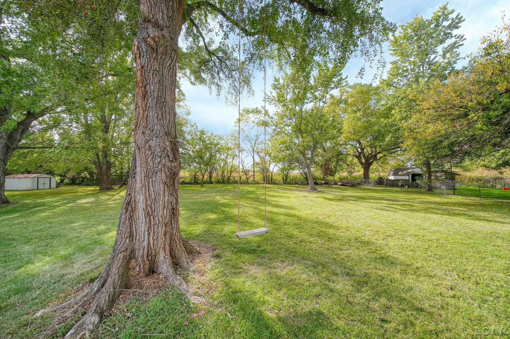 379 N Main Street, Britton, MI 49229 — Photo 34