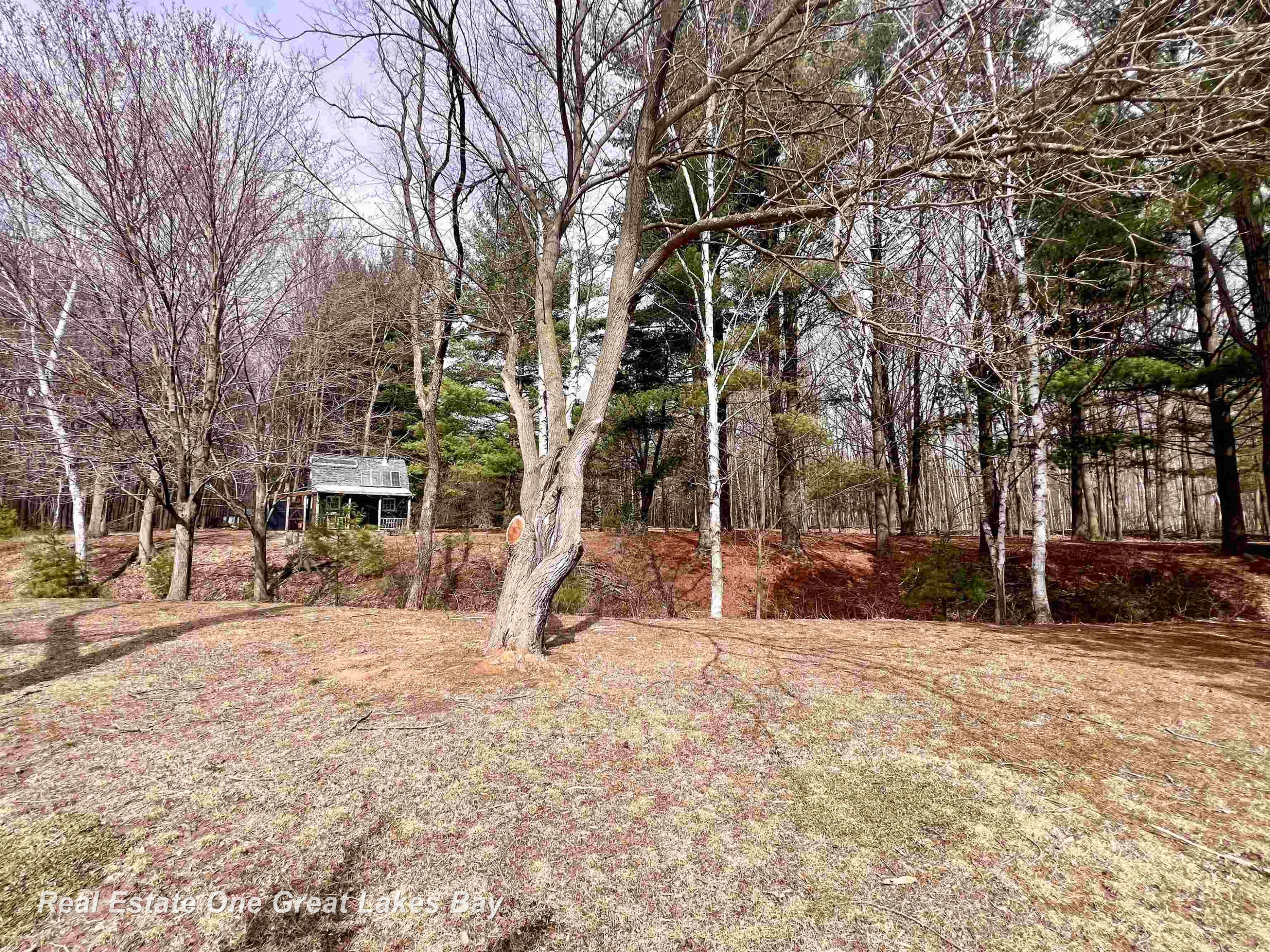 12165 Gratiot Road, Saginaw, MI 48609 — Photo 37