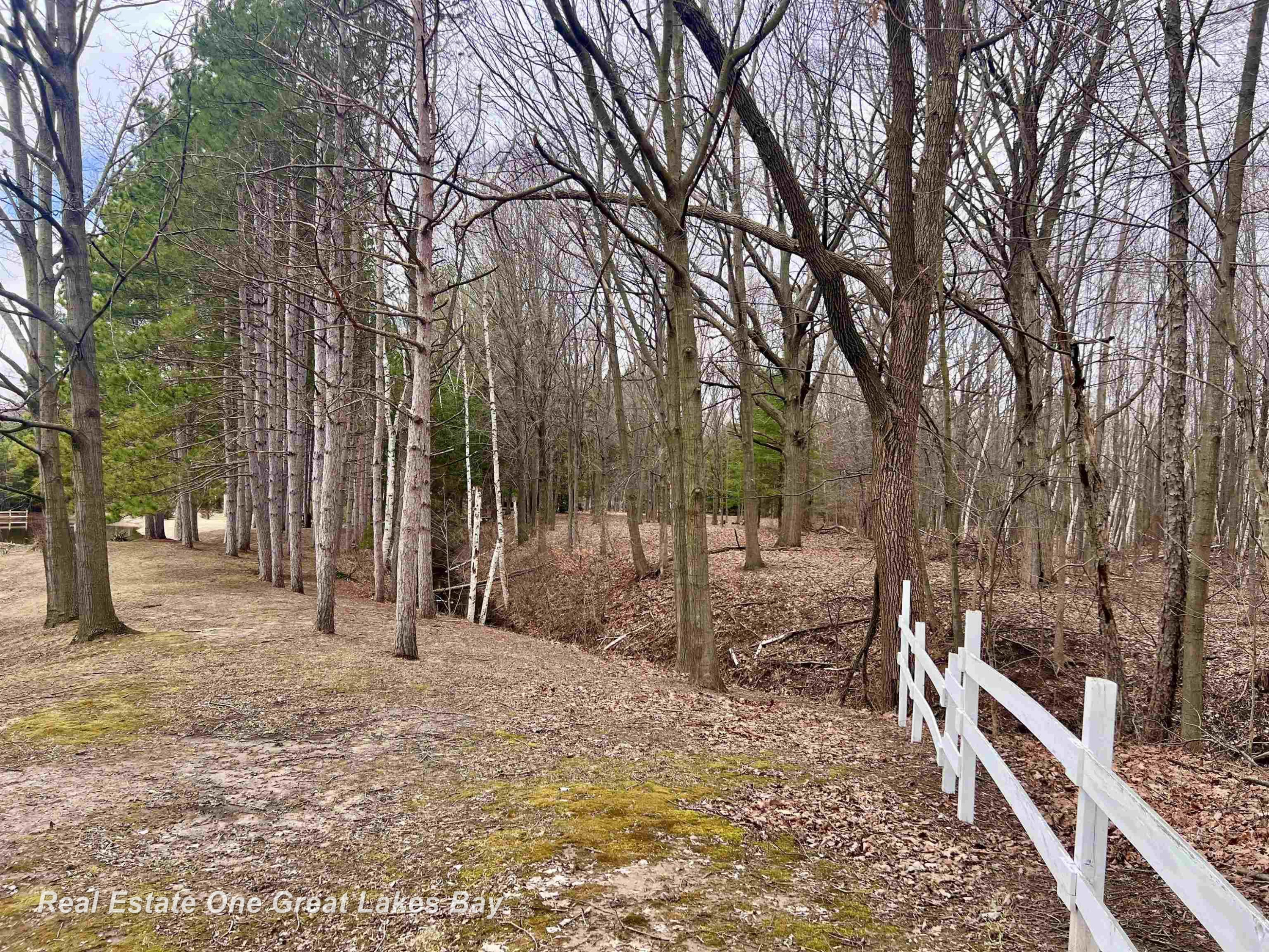 12165 Gratiot Road, Saginaw, MI 48609 — Photo 40