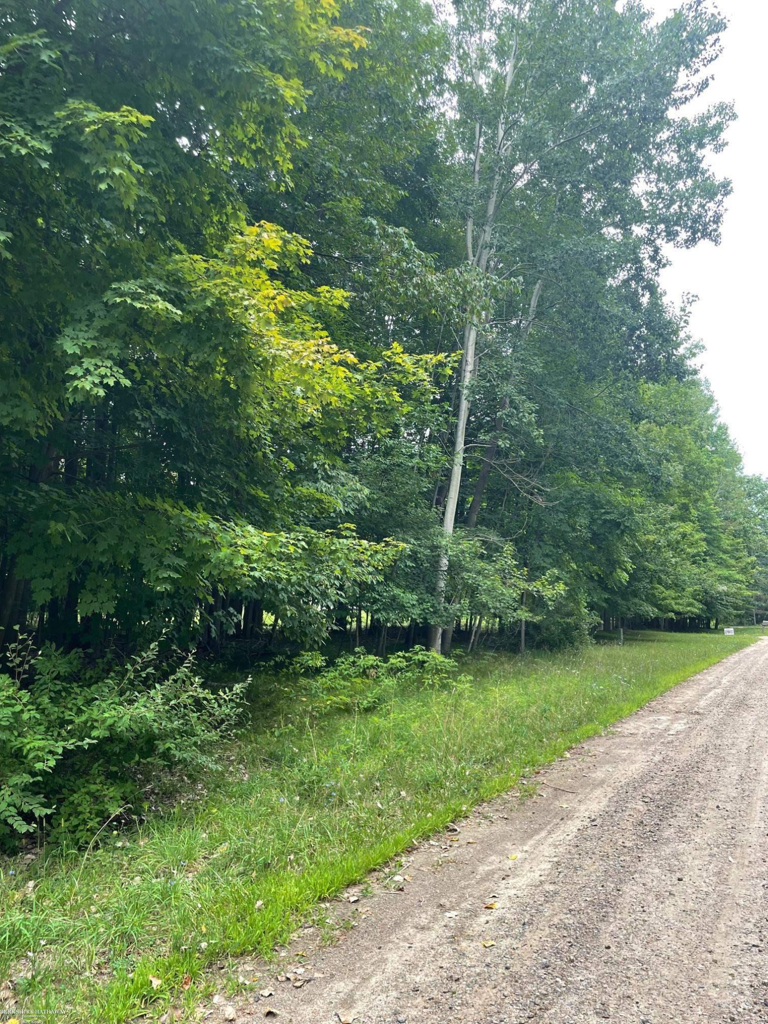 0000 BEECH FOREST Court, MI 48337 — Photo 2
