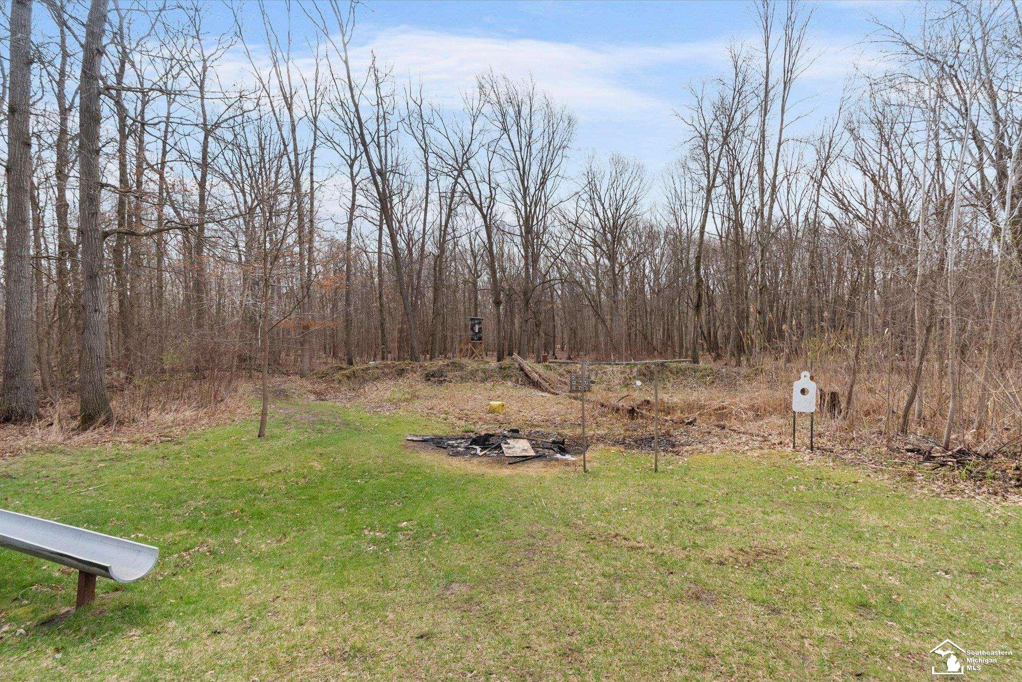 14535 Lulu Road, Ida, MI 48140 — Photo 71