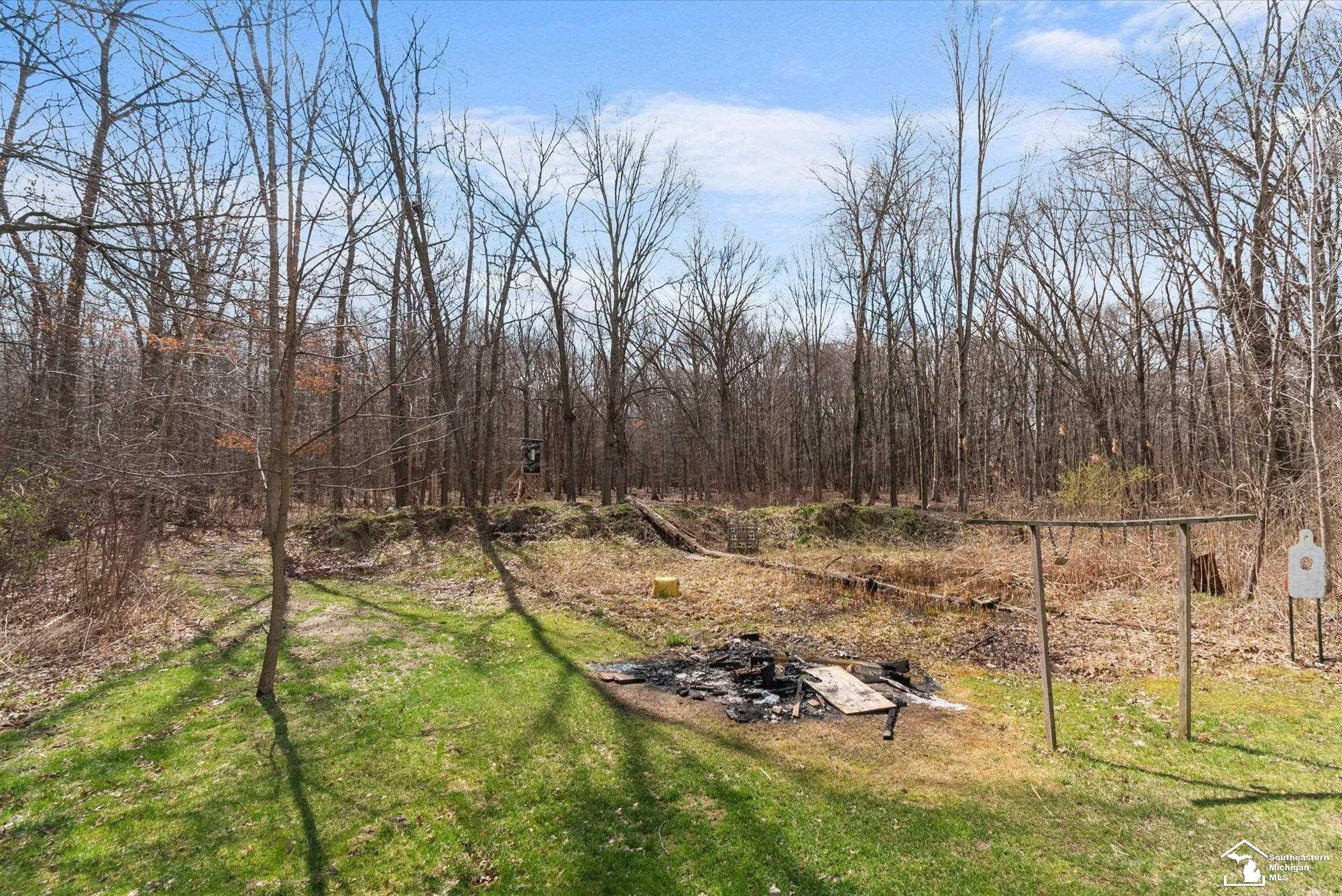14535 Lulu Road, Ida, MI 48140 — Photo 72