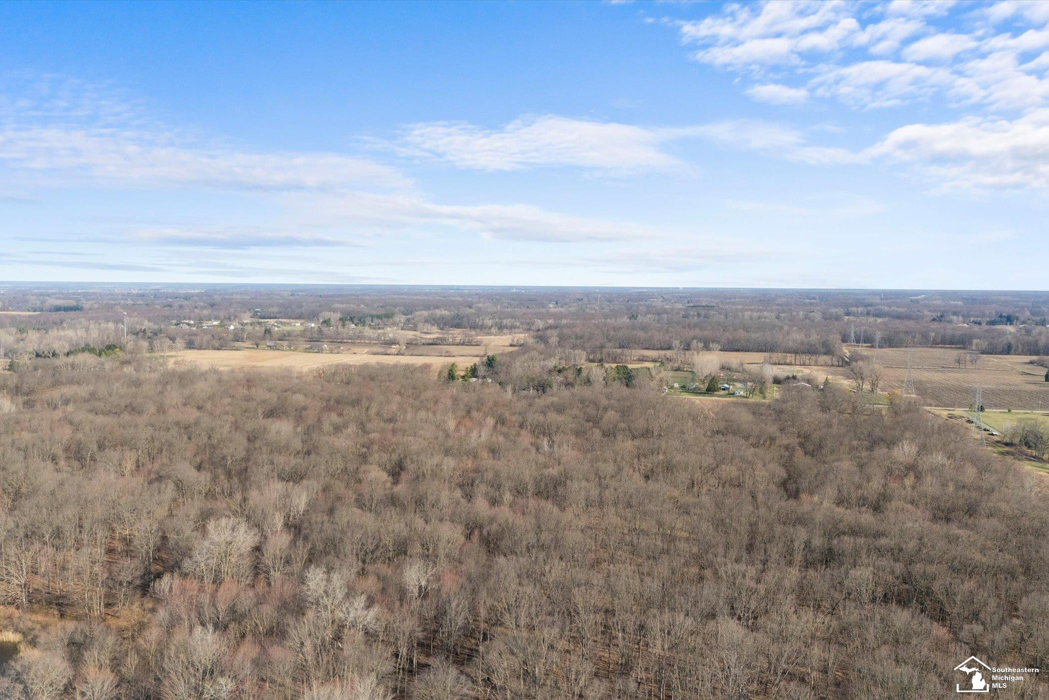14535 Lulu Road, Ida, MI 48140 — Photo 93
