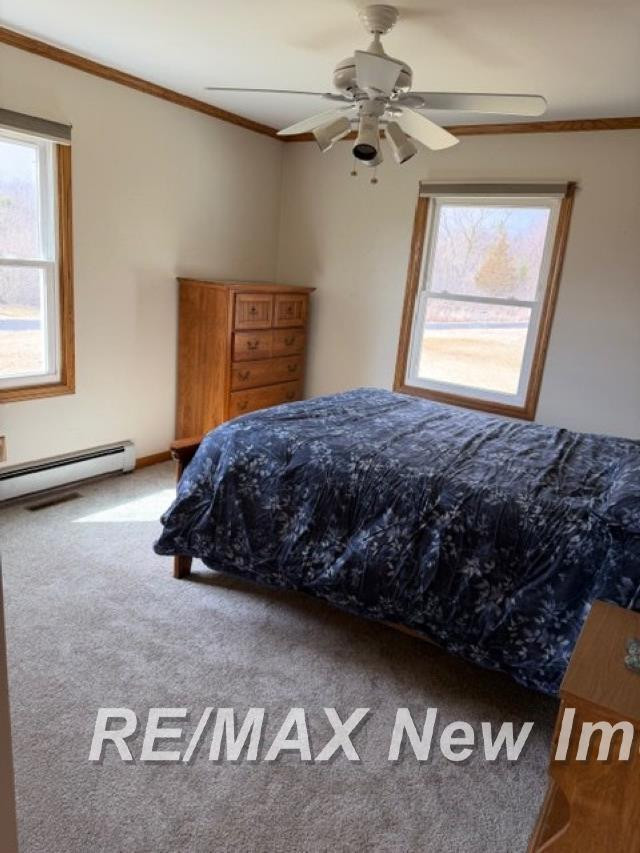 312 Chip Road, Auburn, MI 48611 — Photo 7