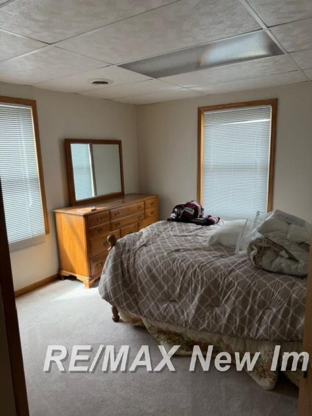 312 Chip Road, Auburn, MI 48611 — Photo 11