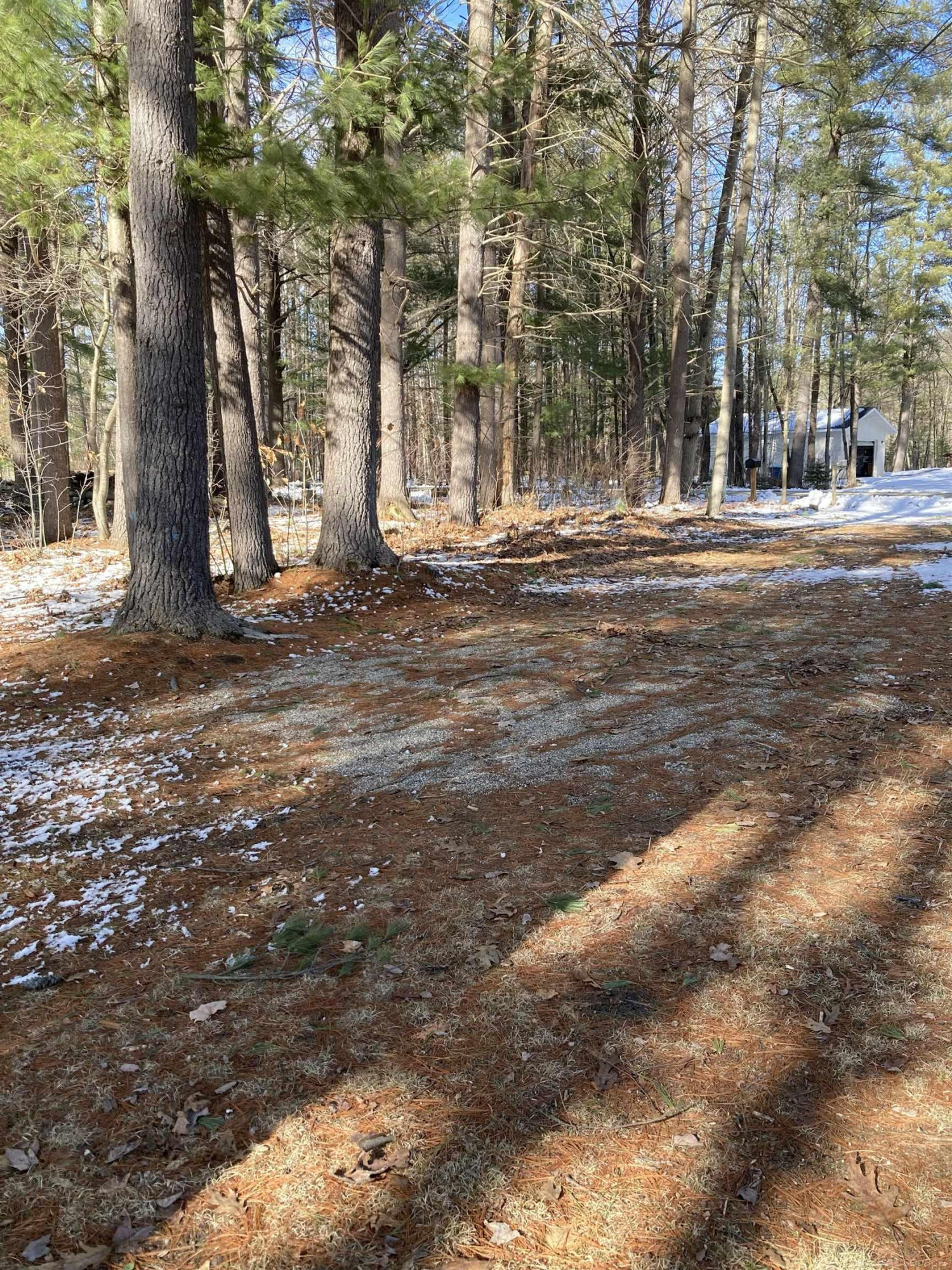 3969 N West Branch Drive, Gladwin, MI 48624 — Photo 39