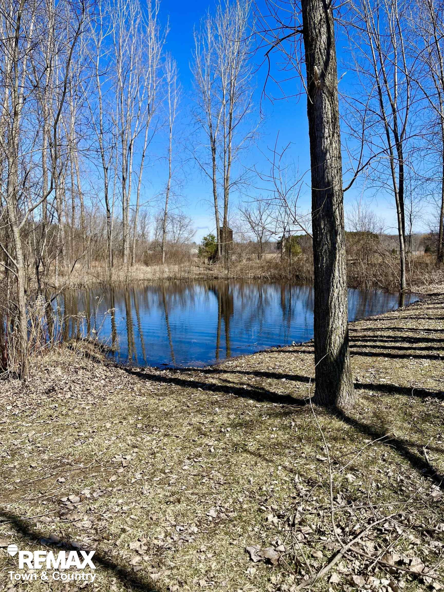 3800 Murphy Lake Road, Millington, MI 48746 — Photo 58