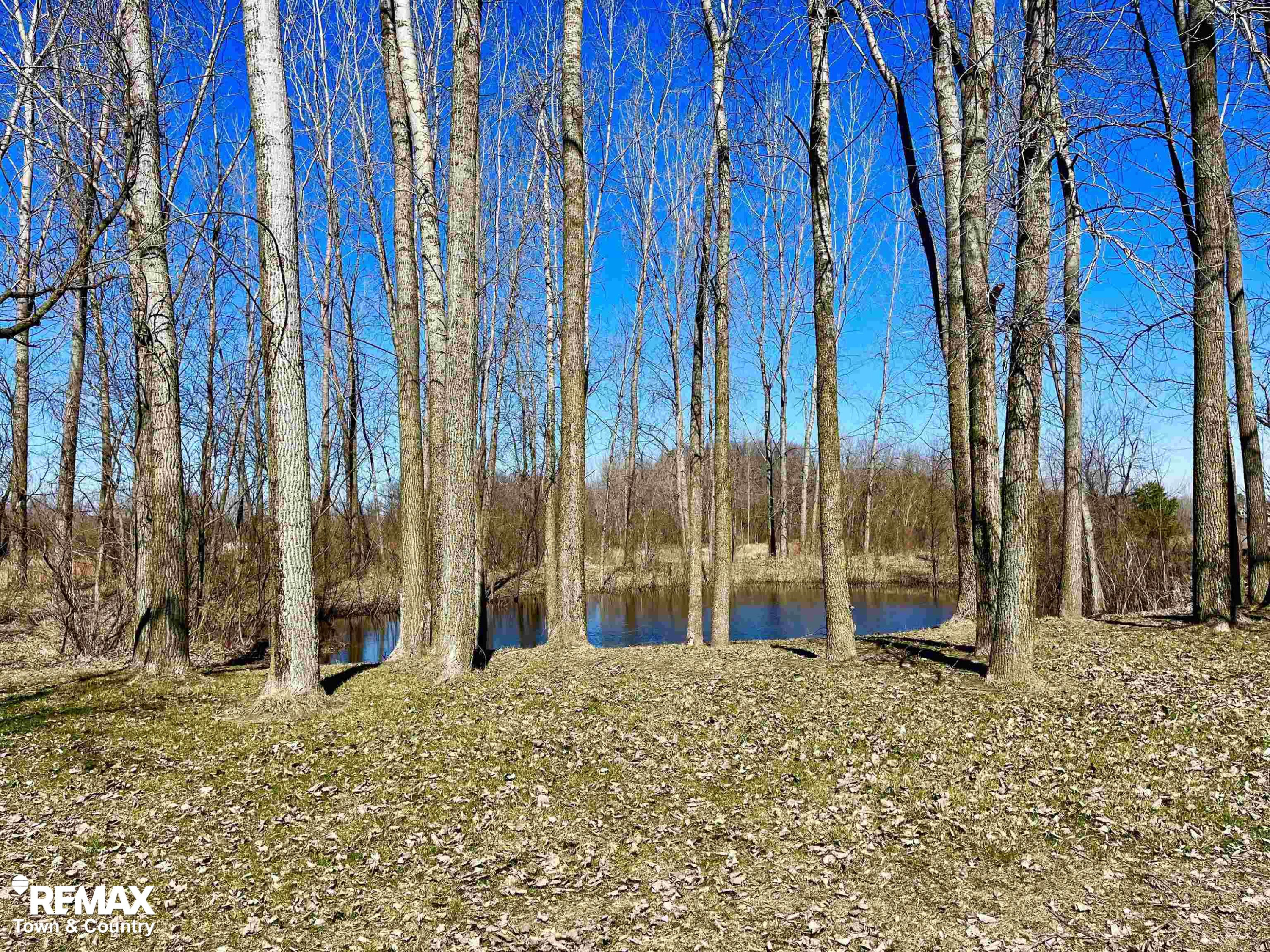 3800 Murphy Lake Road, Millington, MI 48746 — Photo 59