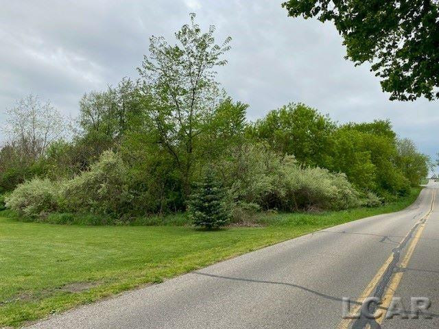 8000 BLK Stephenson Road, Onsted, MI 49265