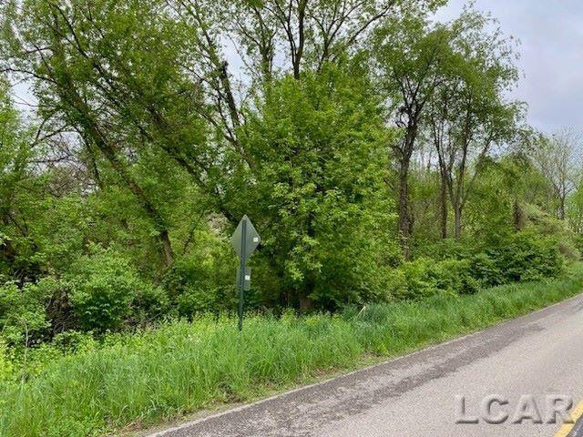 8000 BLK Stephenson Road, Onsted, MI 49265 — Photo 2