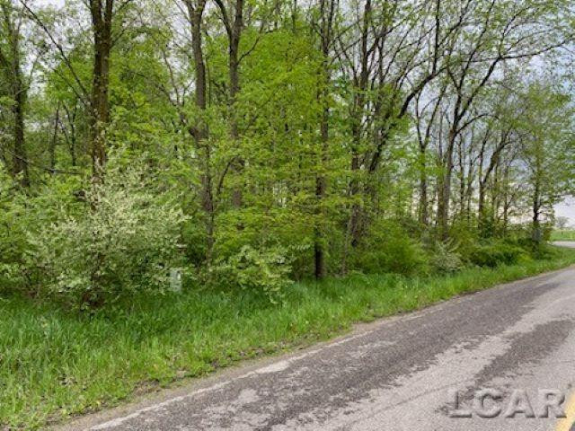 8000 BLK LOT 10 Stephenson Road, Onsted, MI 49265
