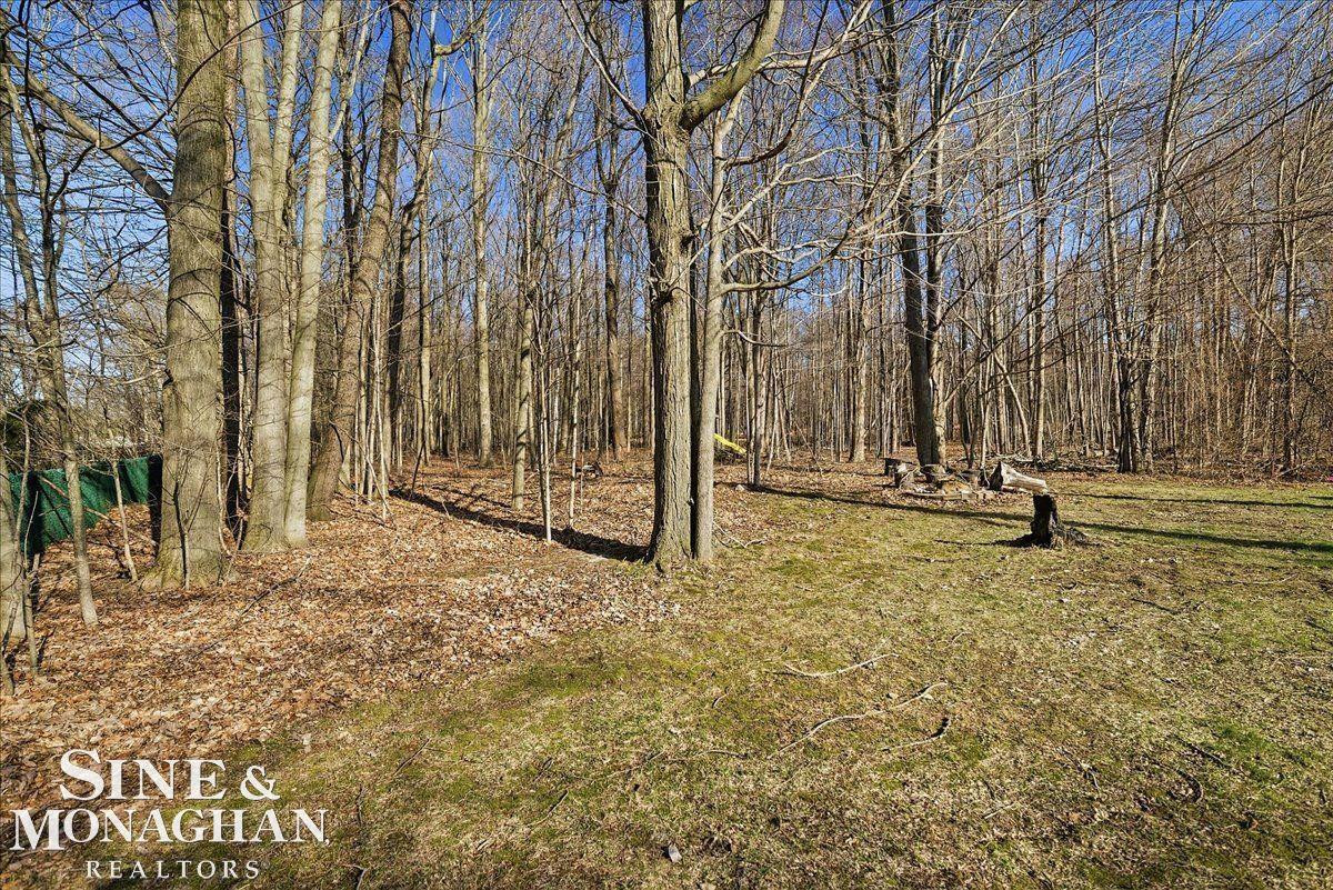 3770 Pollina Avenue, MI 48059 — Photo 40