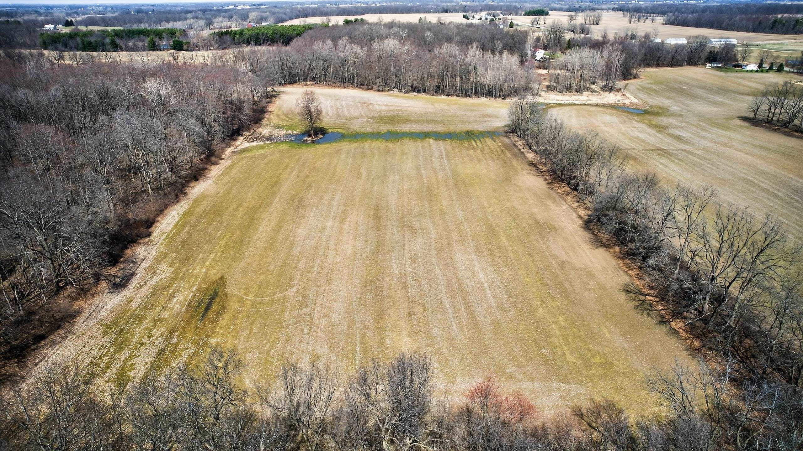 V/L S State Road, Bancroft, MI 48414 — Photo 6