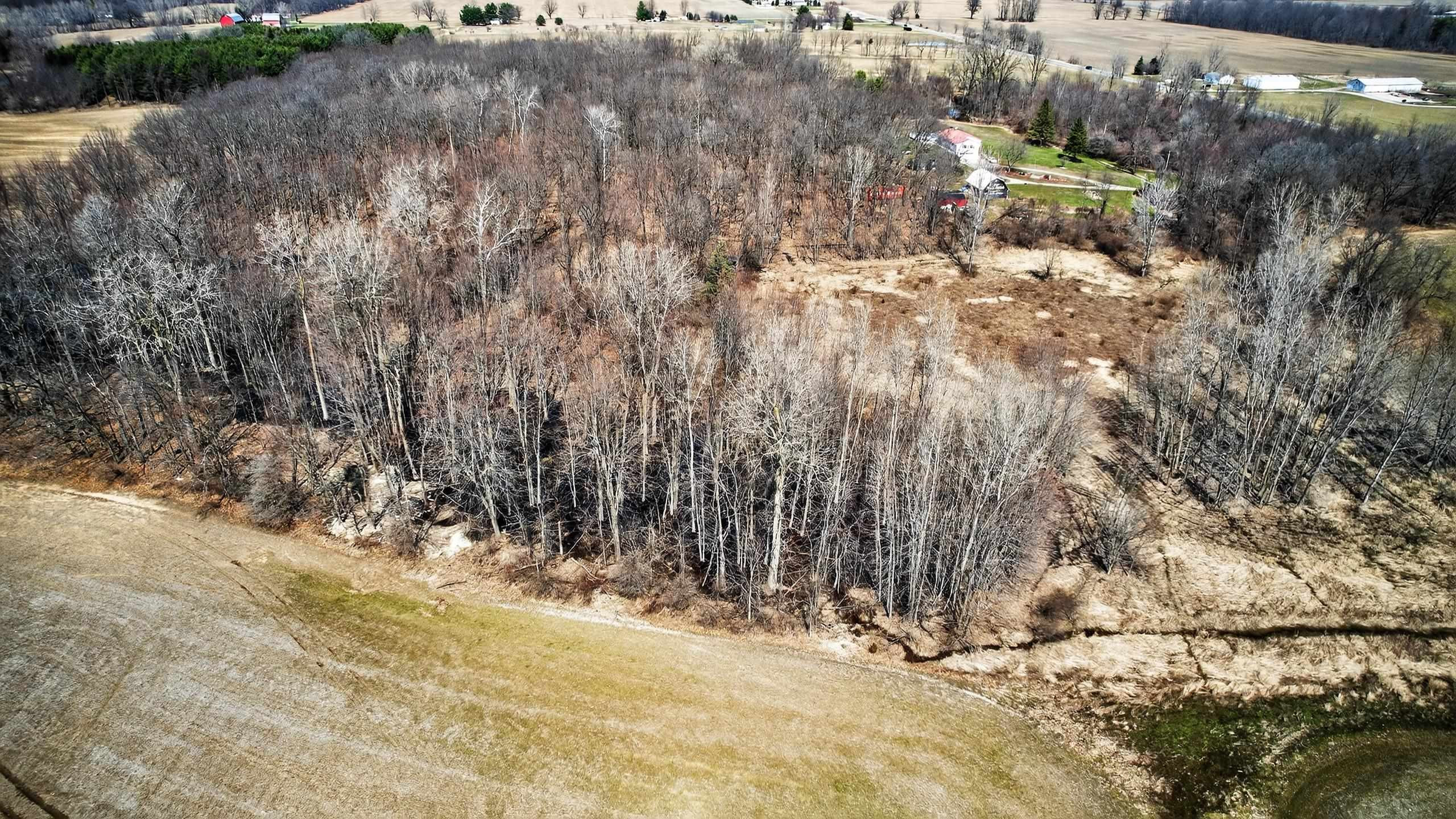 V/L S State Road, Bancroft, MI 48414 — Photo 15