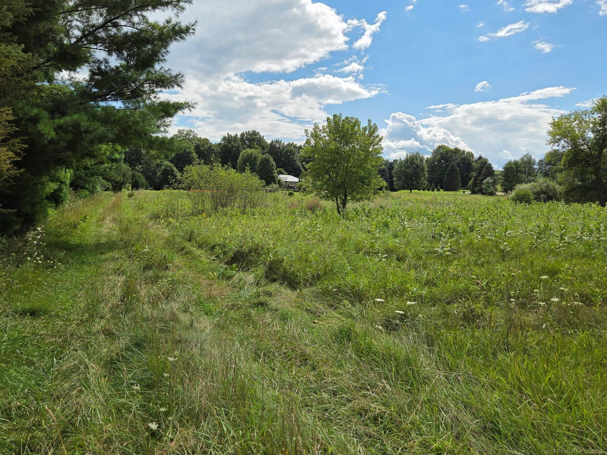 91 Lone Oak Drive, Attica, MI 48412 — Photo 31