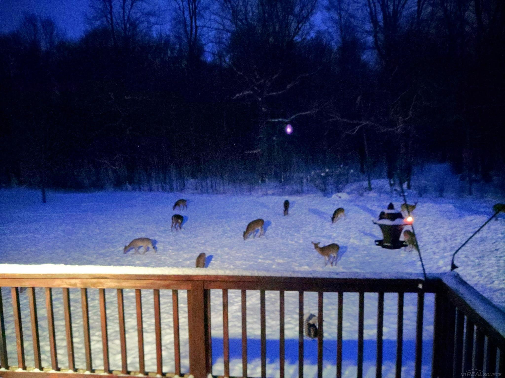91 Lone Oak Drive, Attica, MI 48412 — Photo 35