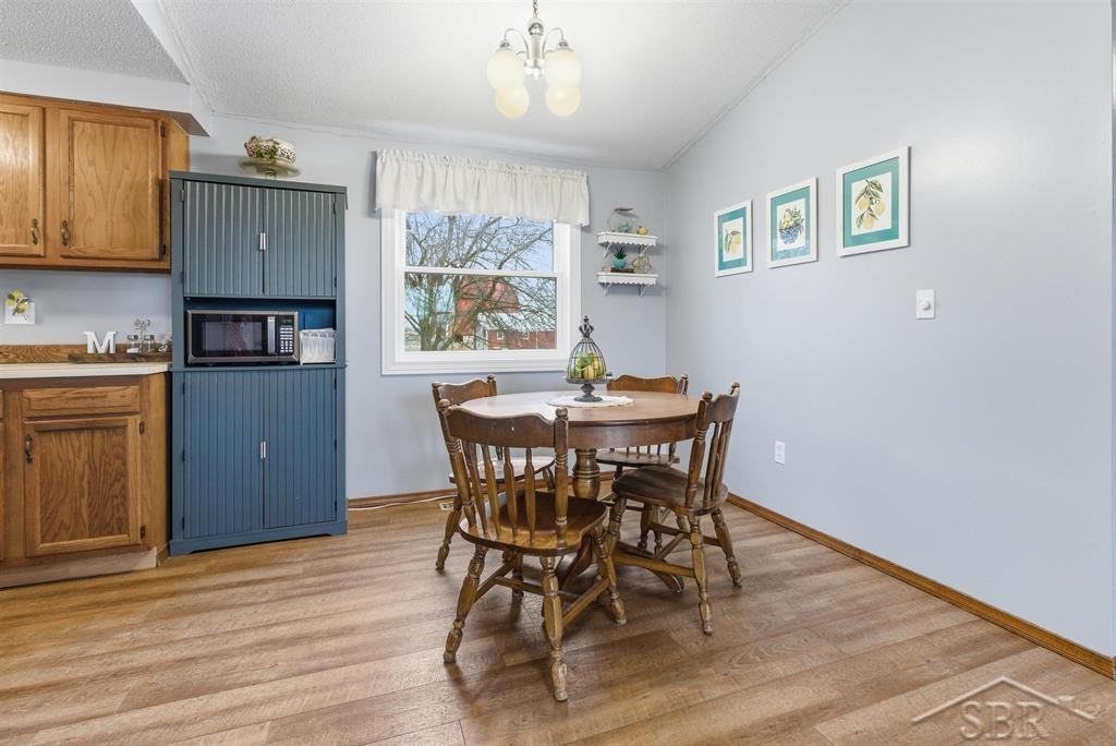 3800 E Vernon Road, Rosebush, MI 48878 — Photo 6