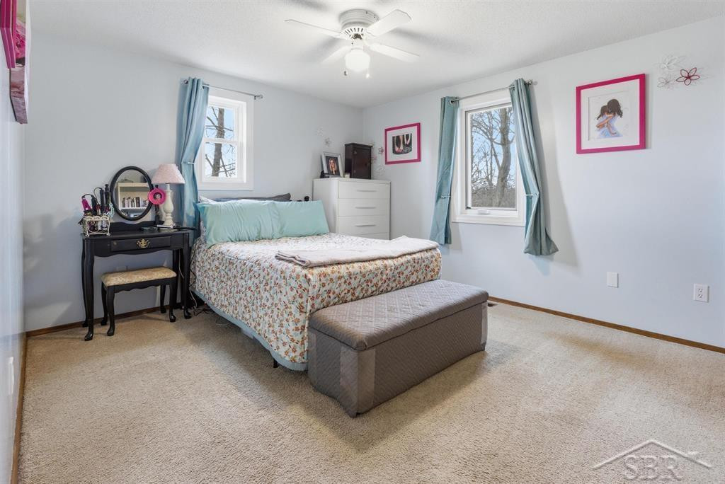 3800 E Vernon Road, Rosebush, MI 48878 — Photo 11