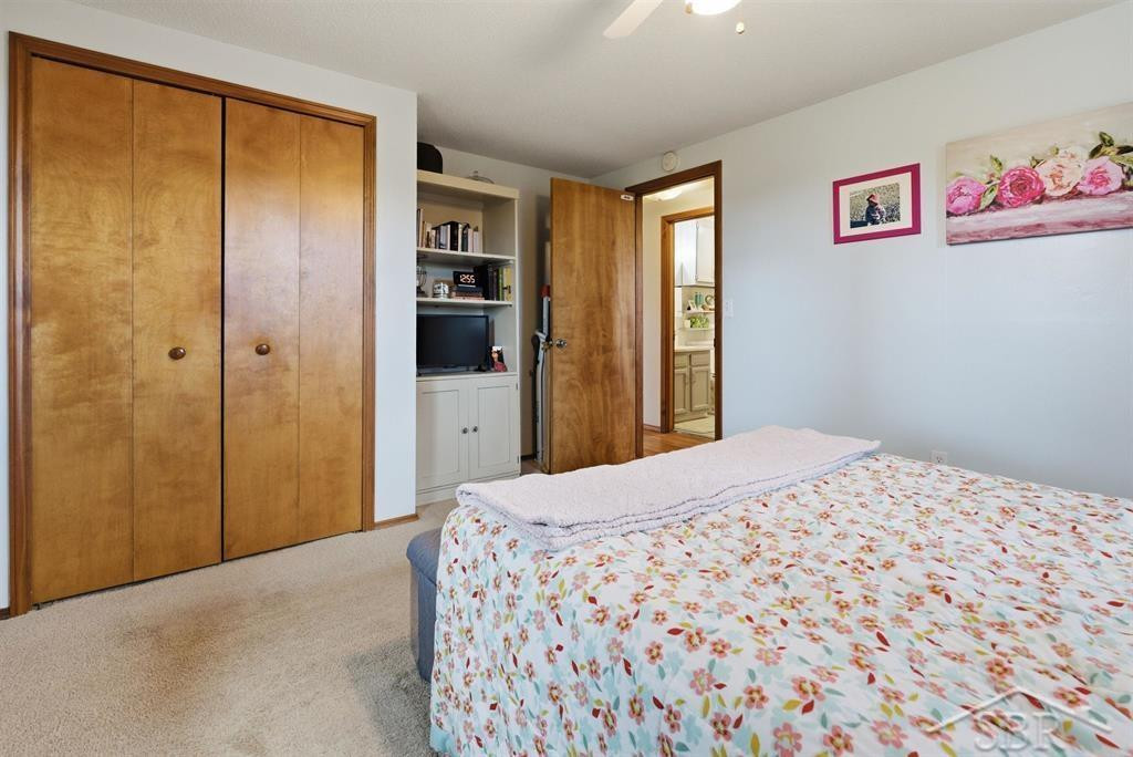 3800 E Vernon Road, Rosebush, MI 48878 — Photo 12