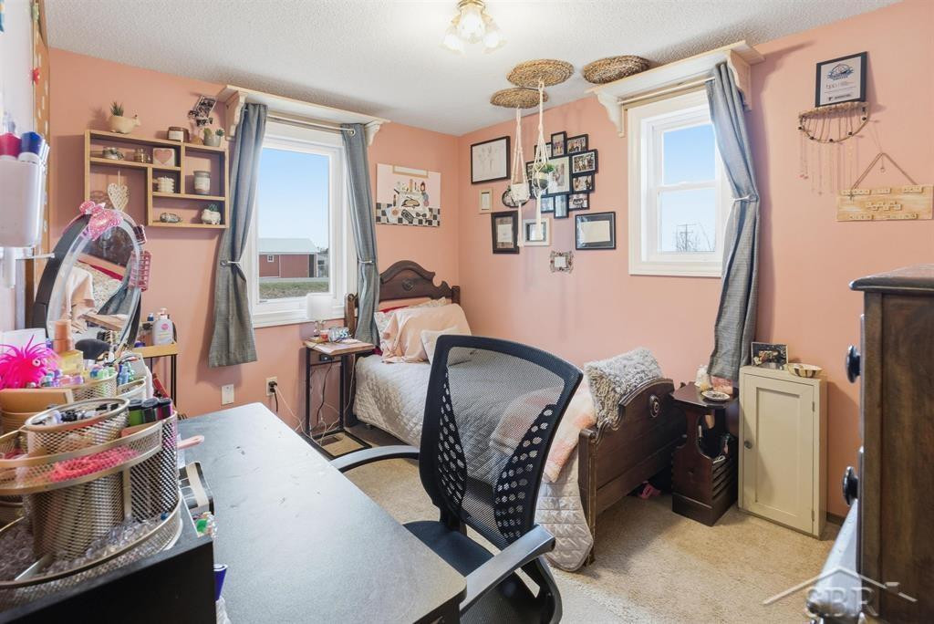 3800 E Vernon Road, Rosebush, MI 48878 — Photo 14