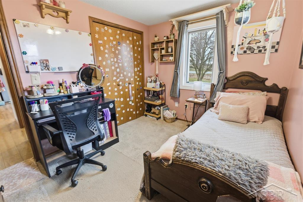 3800 E Vernon Road, Rosebush, MI 48878 — Photo 15