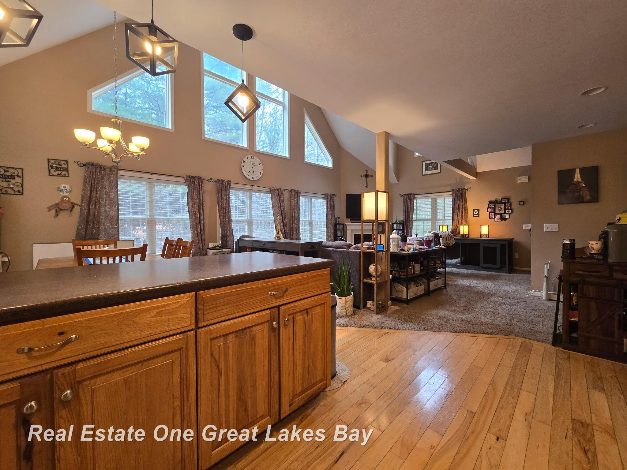 340 E Howard Road, Beaverton, MI 48612 — Photo 5