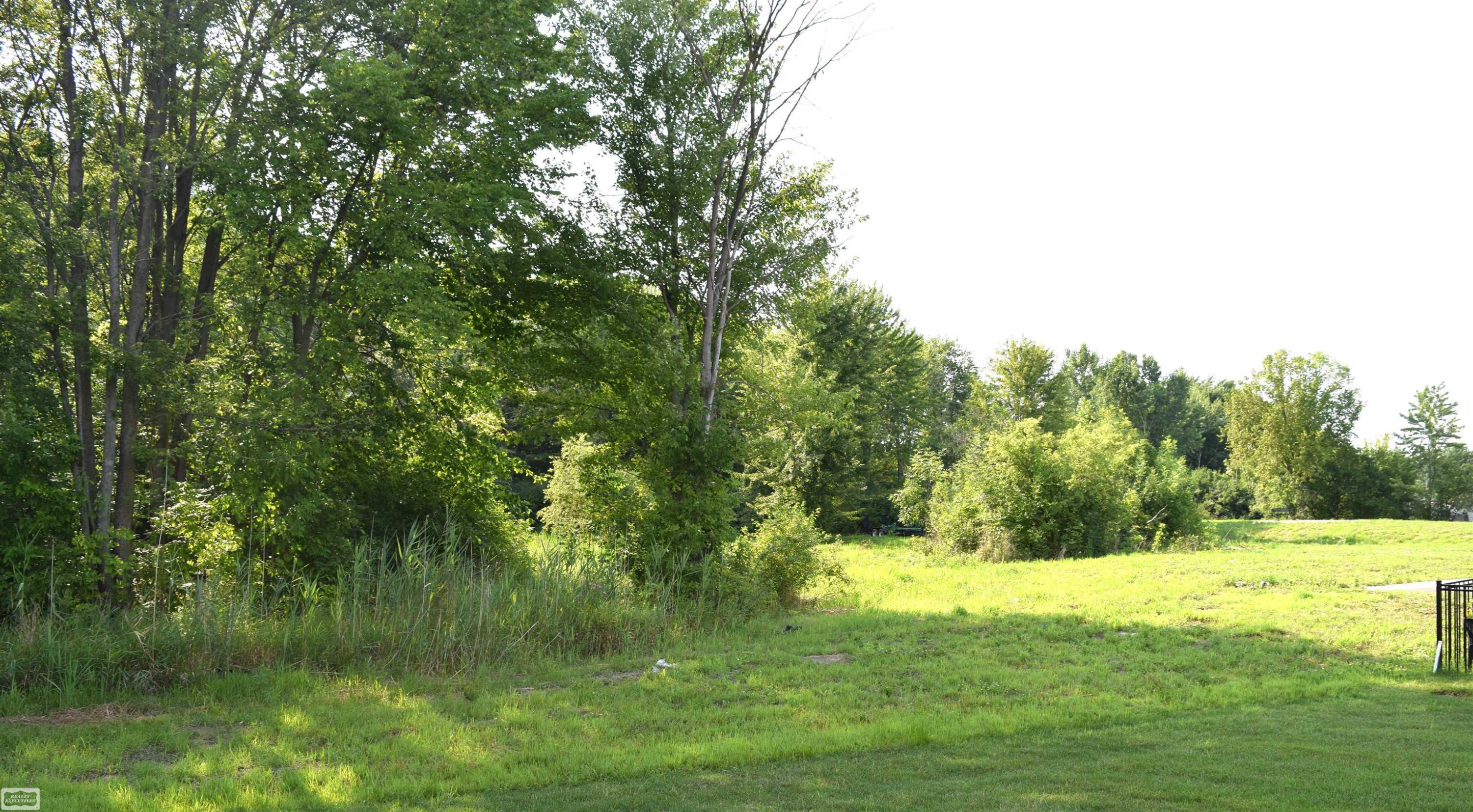 47043 Brookview Drive, New Baltimore, MI 48047 — Photo 28