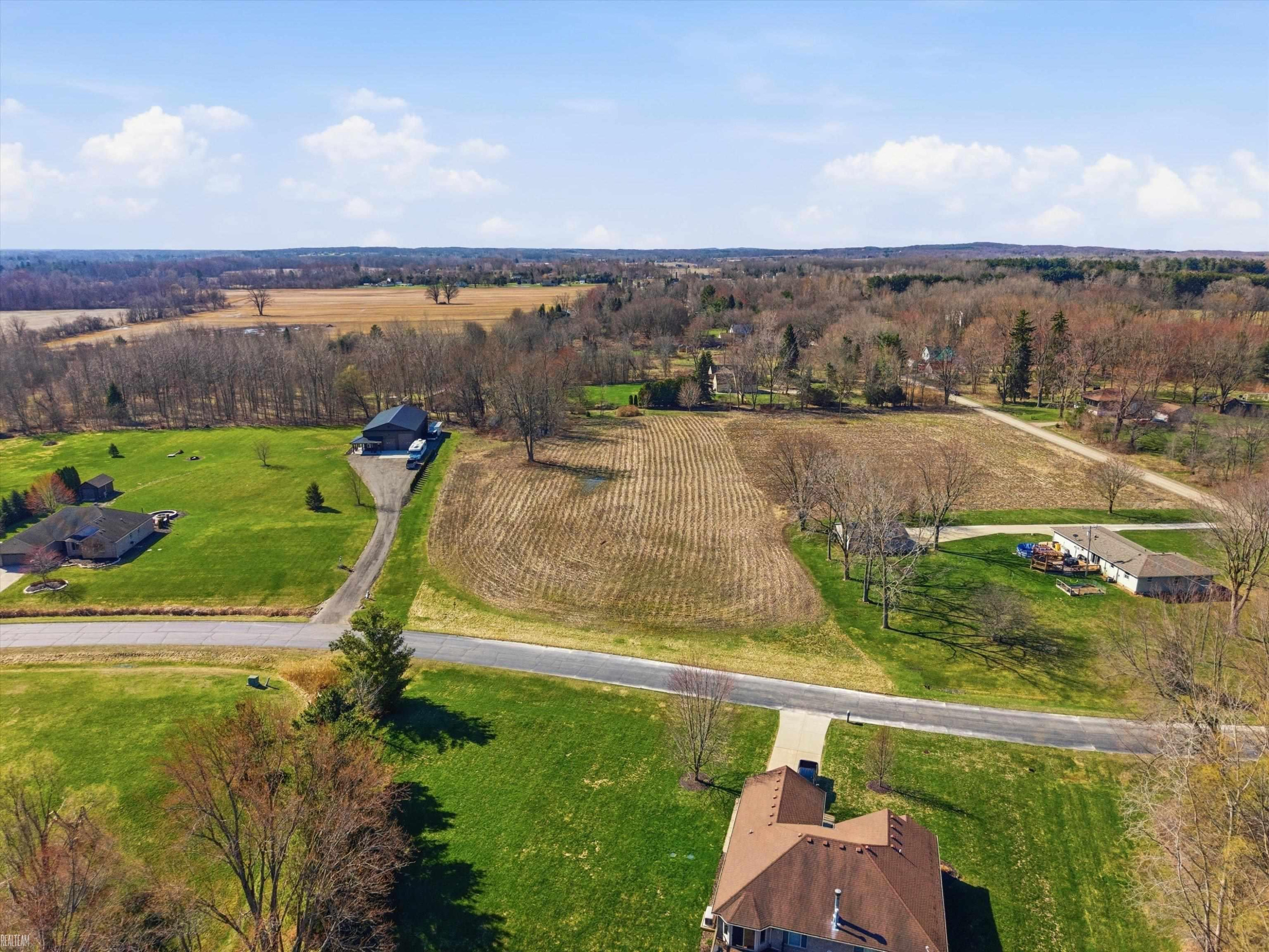 7036 Rea VL Lane, Almont, MI 48003 — Photo 3