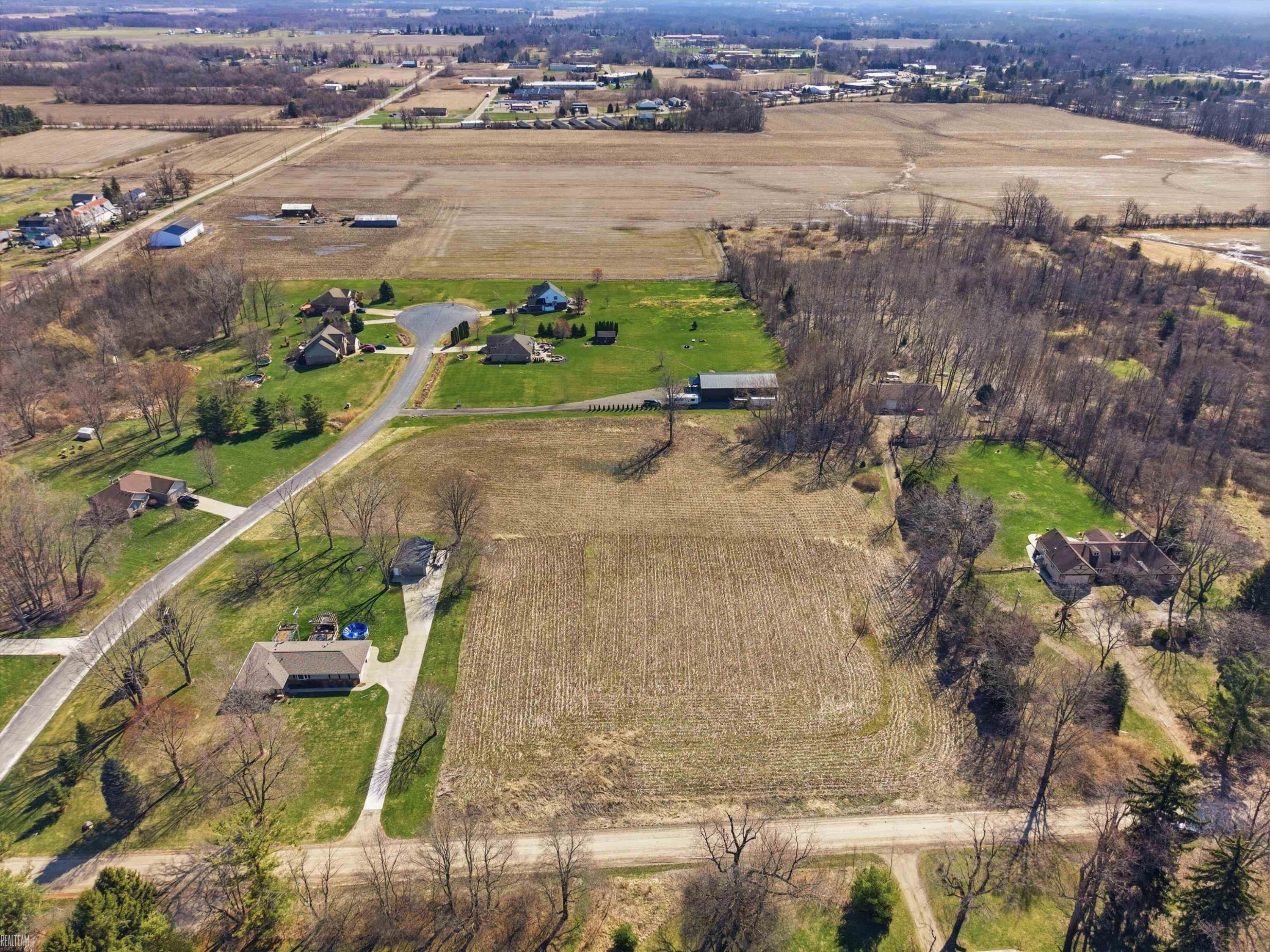 7036 Rea VL Lane, Almont, MI 48003 — Photo 4