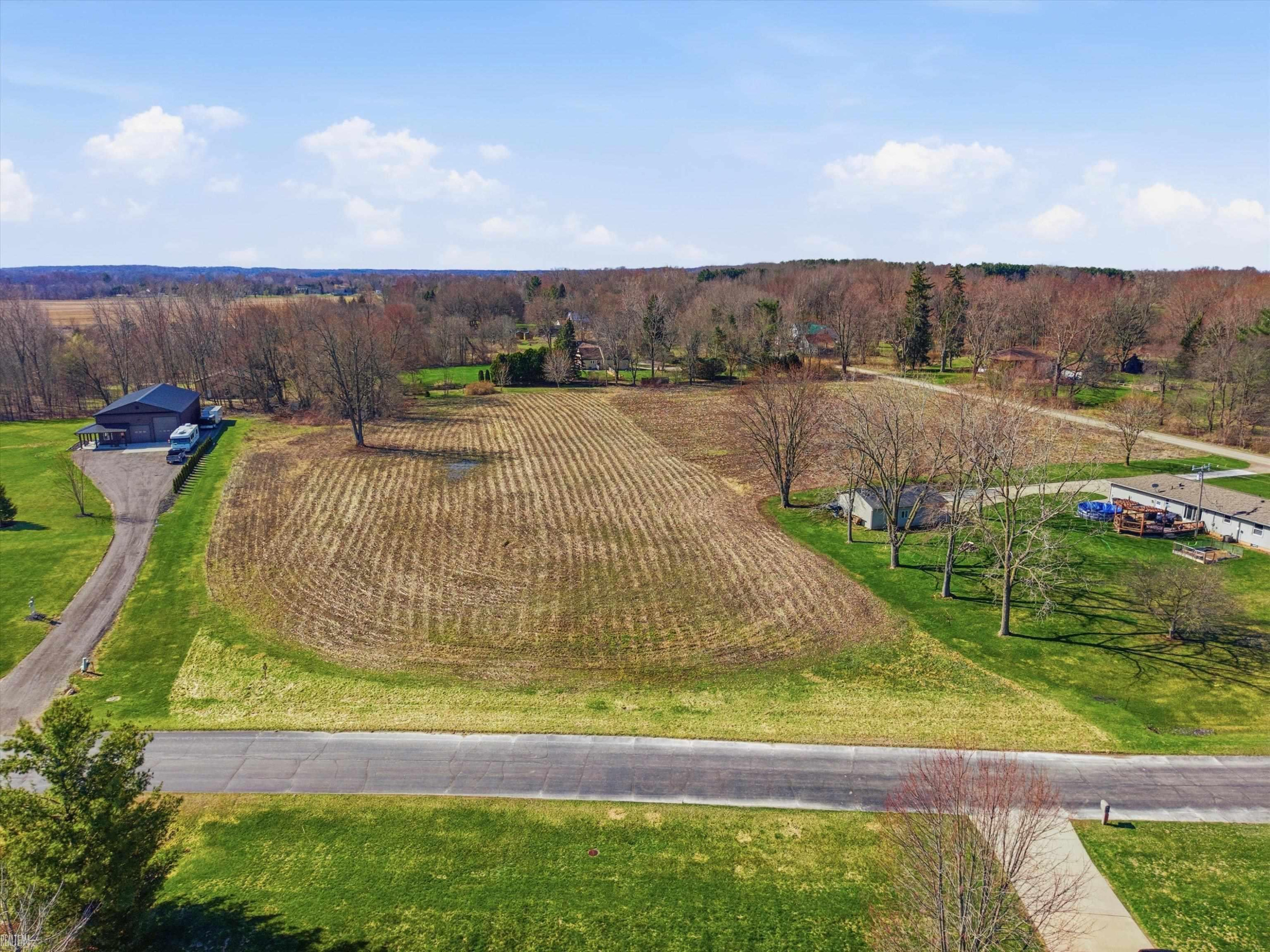 7036 Rea VL Lane, Almont, MI 48003 — Photo 6