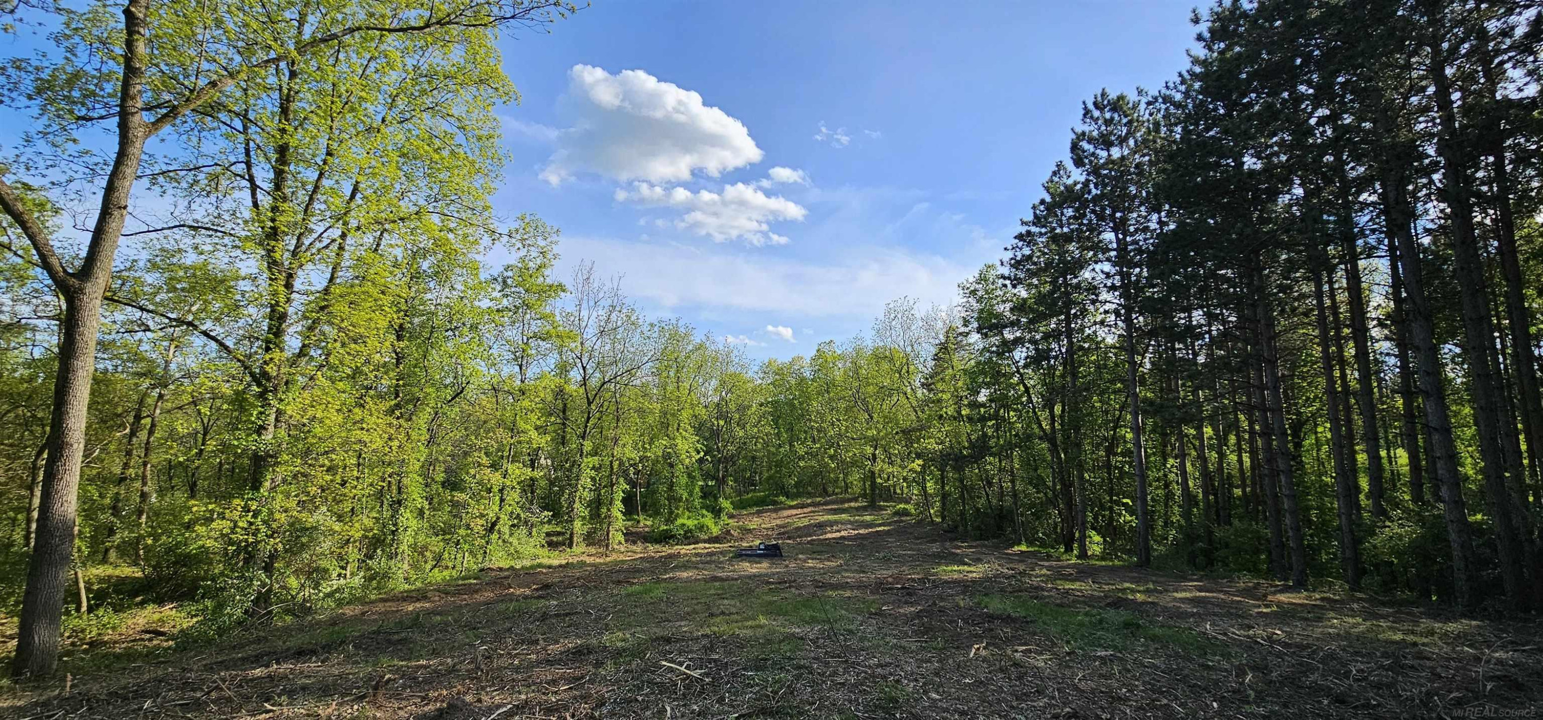 750 E Harmony Hills Parkway, Oxford, MI 48371 — Photo 5