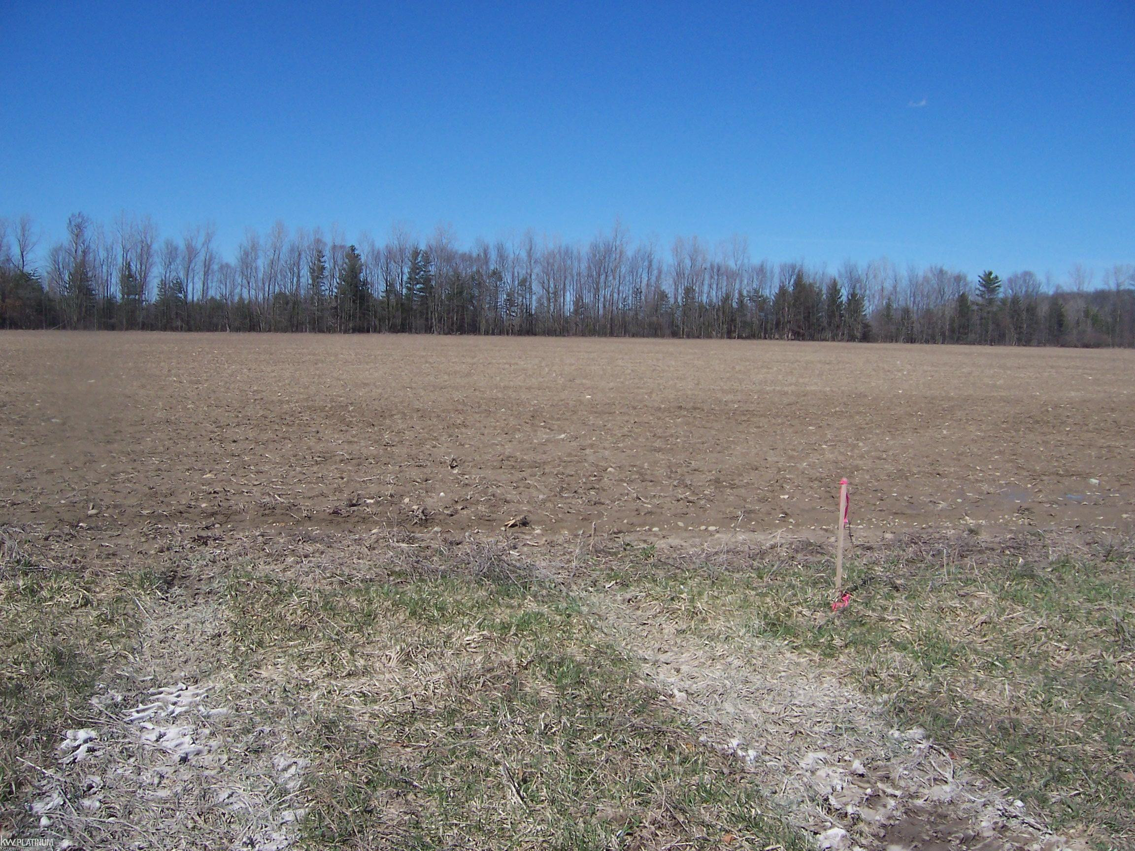 Lot 4 Beard Rd Road, Avoca, MI 48006 — front exterior