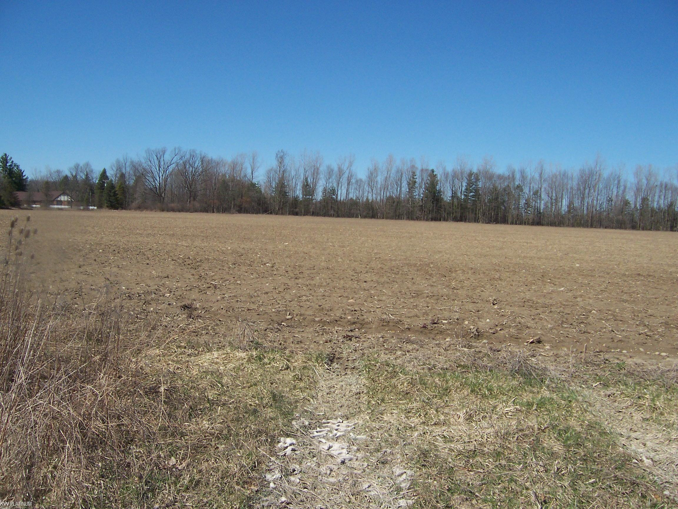 Lot 4 Beard Rd Road, Avoca, MI 48006 — Photo 2