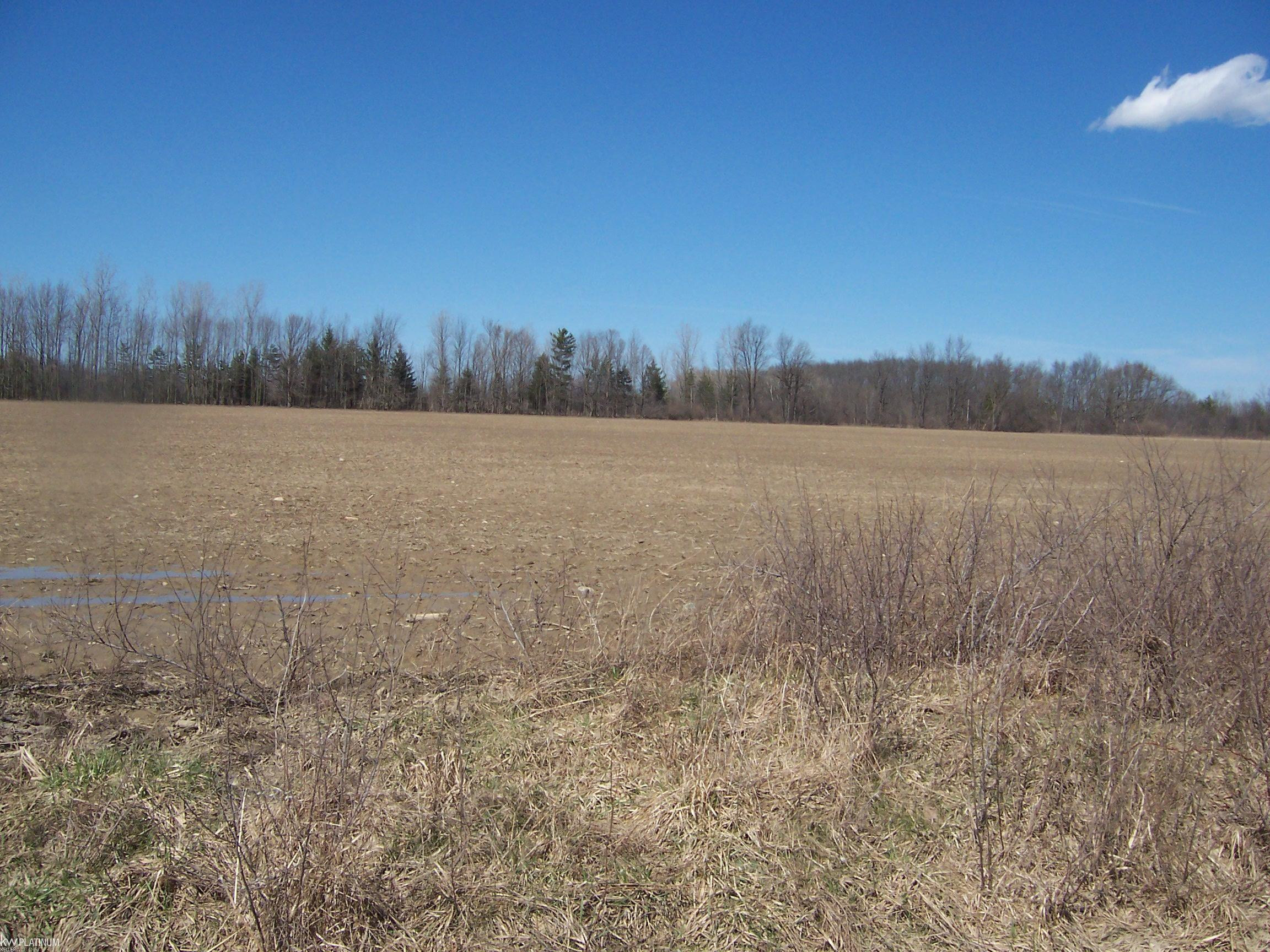 Lot 3 Beard Rd Road, Avoca, MI 48006 — front exterior