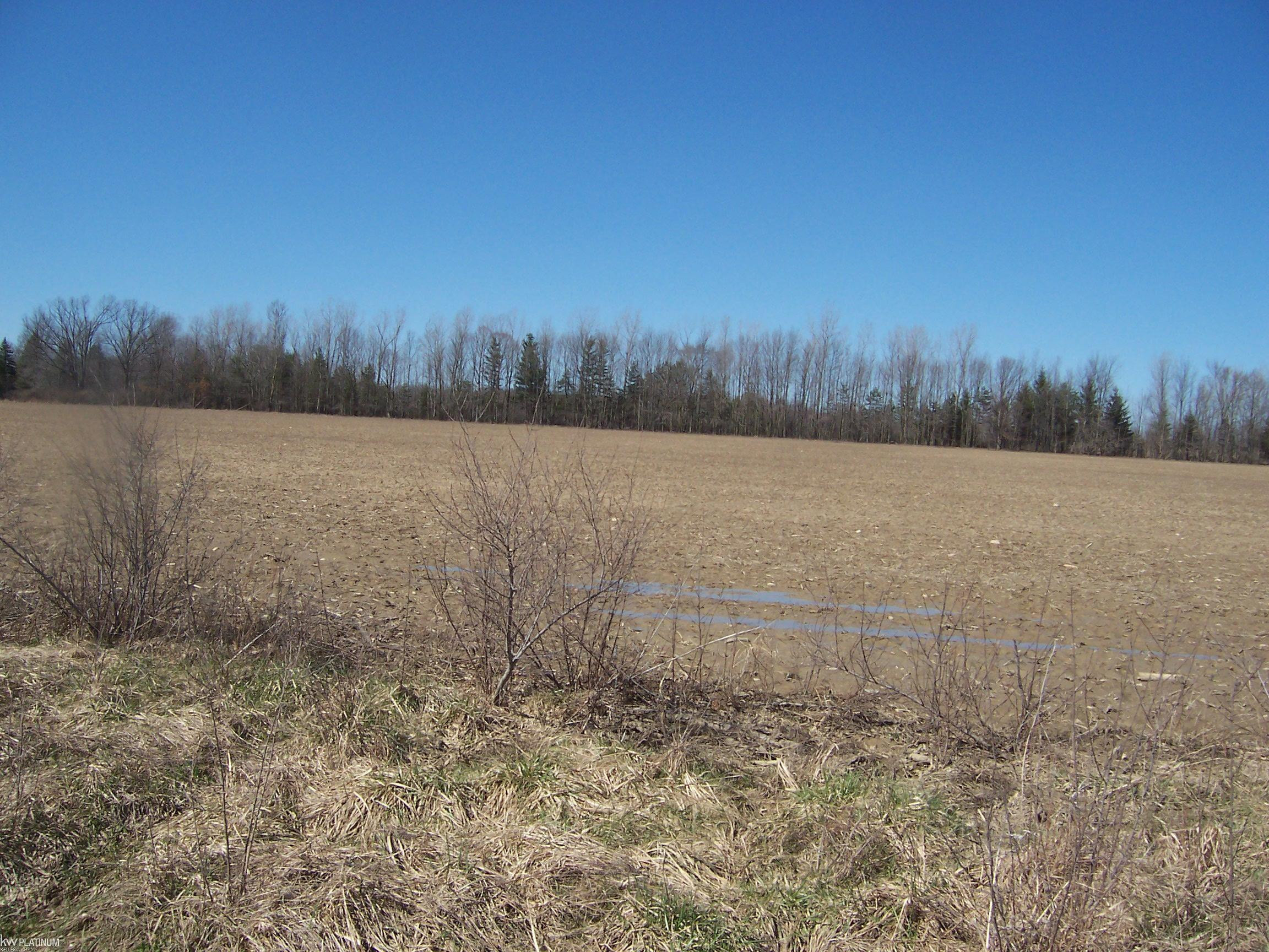 Lot 3 Beard Rd Road, Avoca, MI 48006 — Photo 2